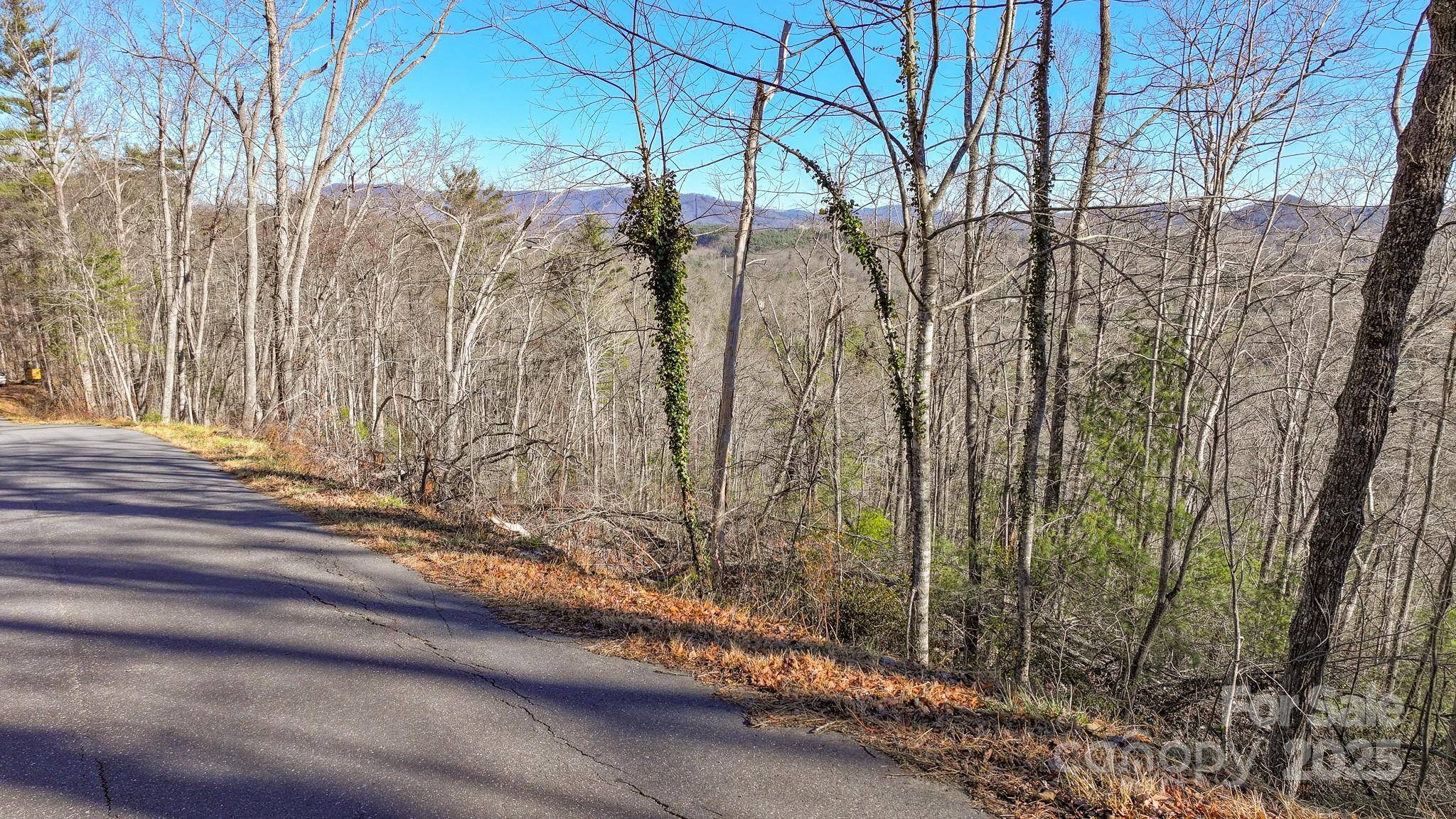 TBD MCHONE RD, Spruce Pine, NC 28777