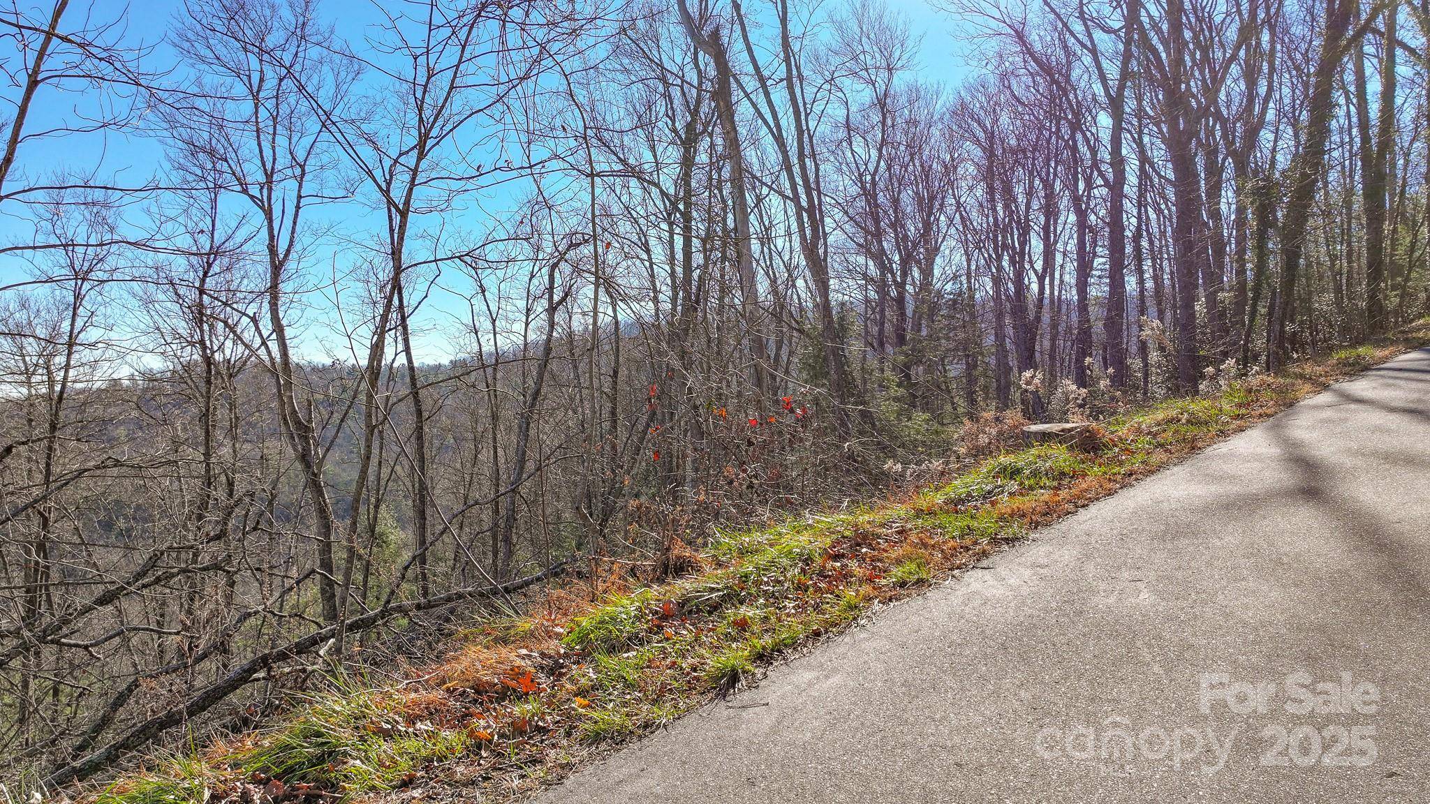 TBD MCHONE RD, Spruce Pine, NC 28777