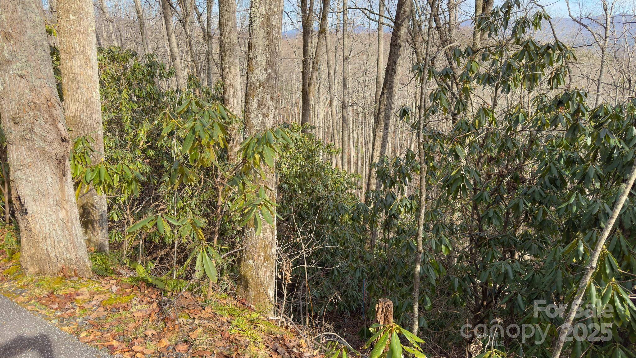TBD High Acres RD, Spruce Pine, NC 28777