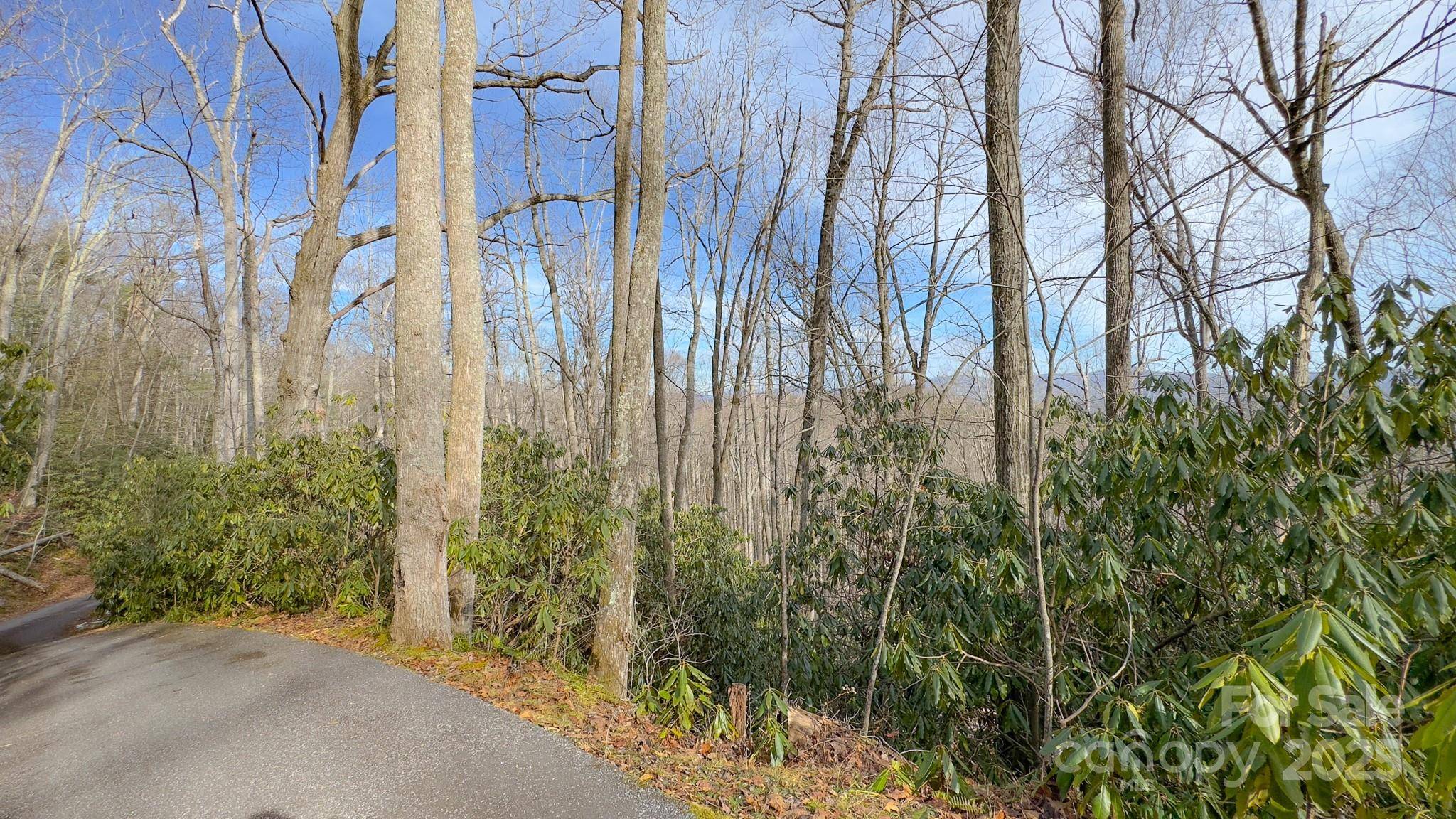 TBD High Acres RD, Spruce Pine, NC 28777