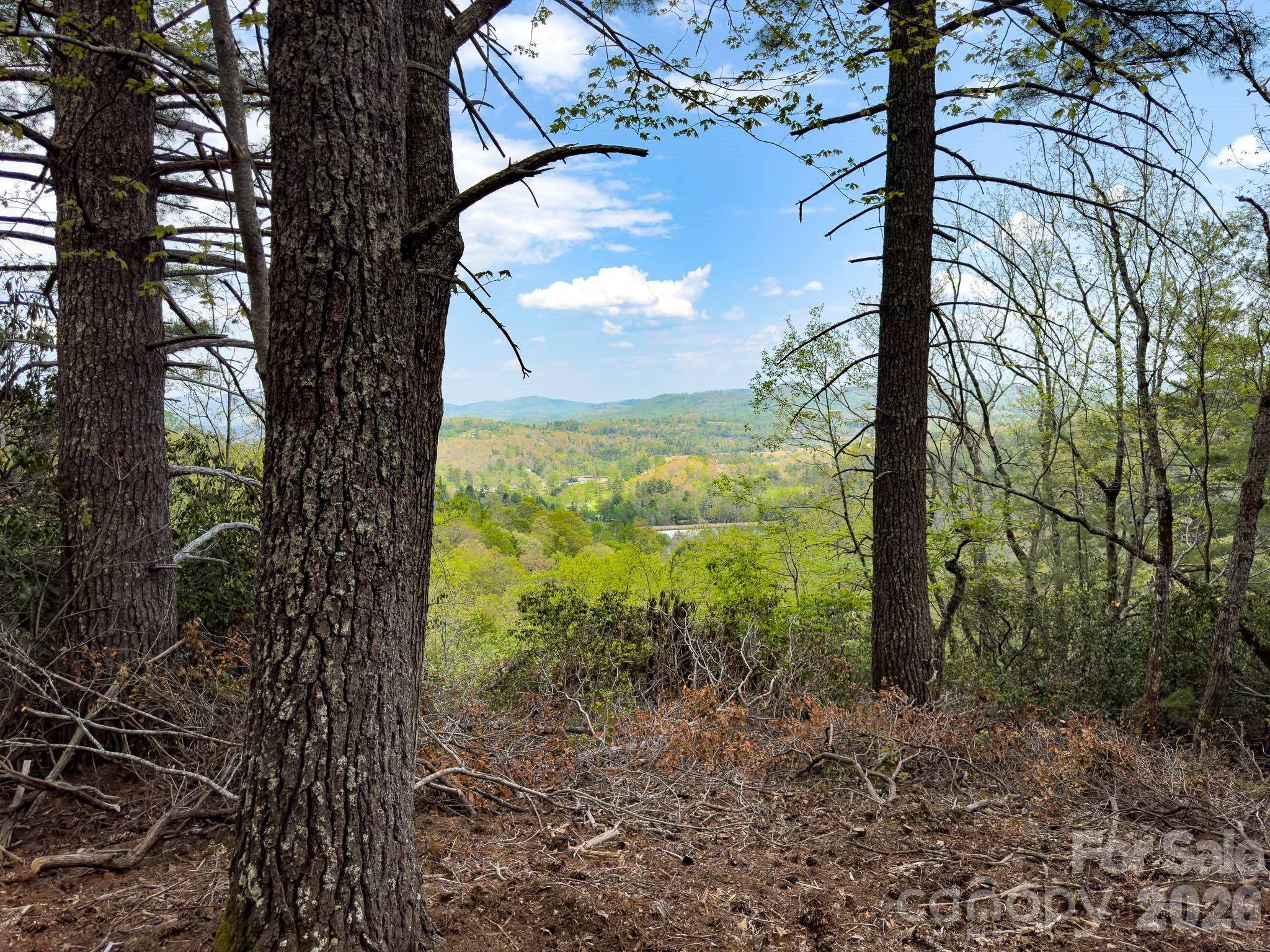 TBD Pine Point RD, Spruce Pine, NC 28777