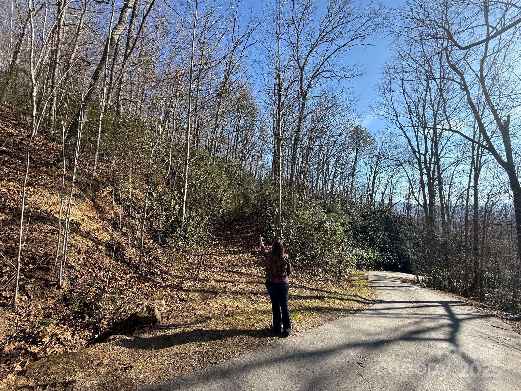 Lot 27 Bernies TRL #27, Waynesville, NC 28785