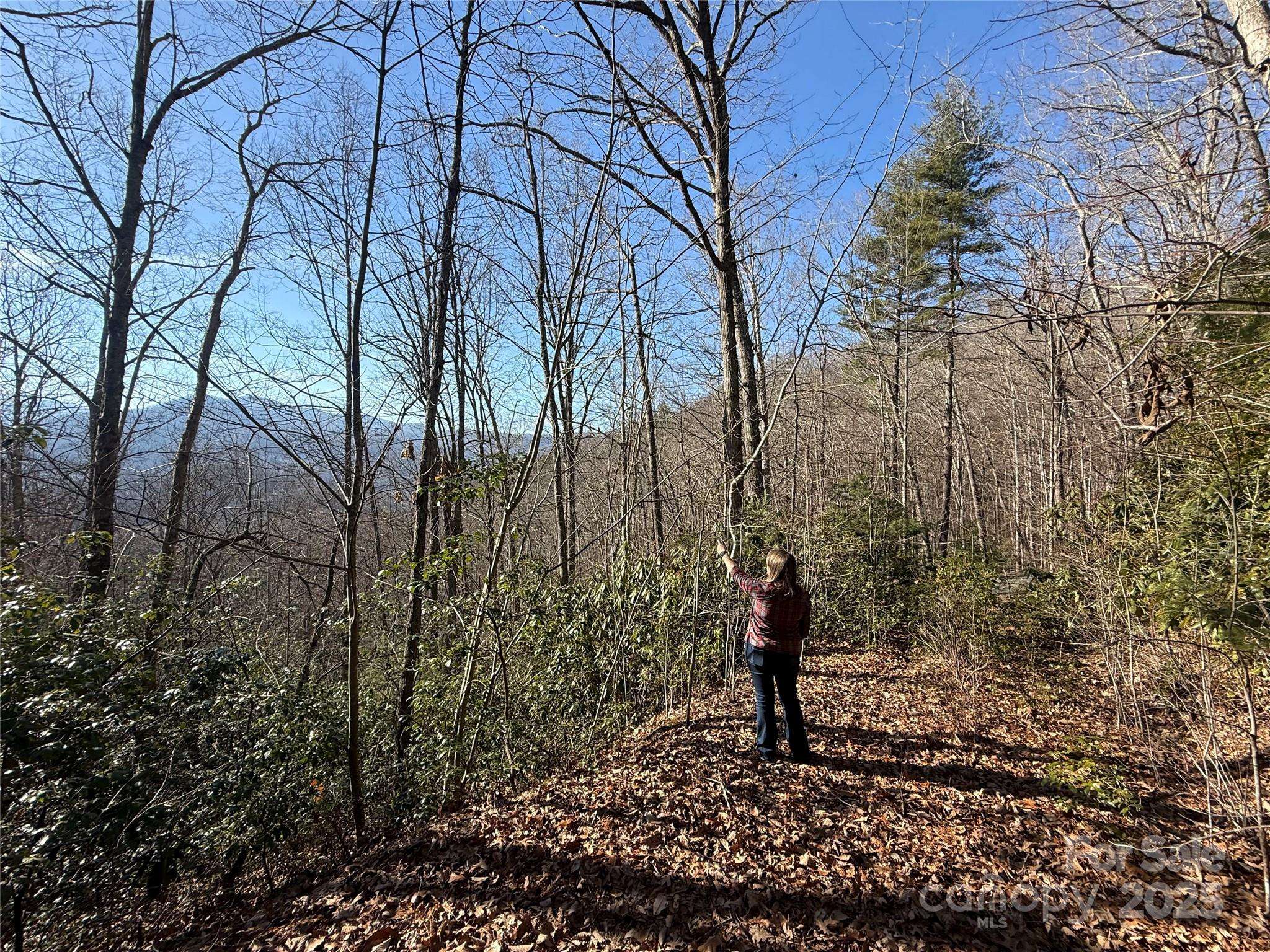 Lot 27 Bernies TRL #27, Waynesville, NC 28785