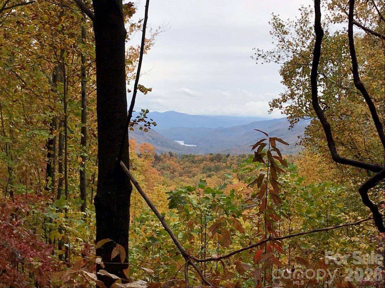 100 Wolf Pen RD, Old Fort, NC 28762