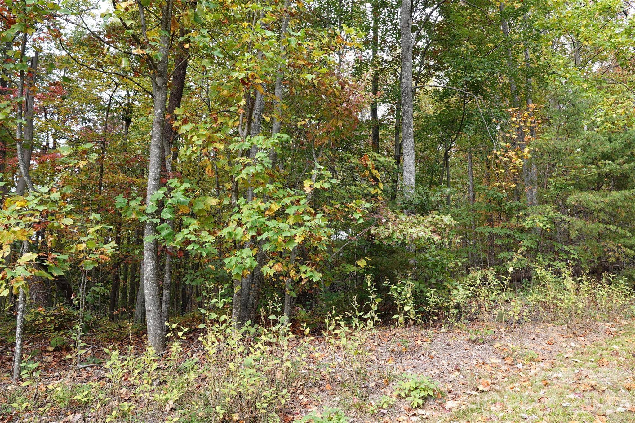 100 Sunset DR, Bostic, NC 28018