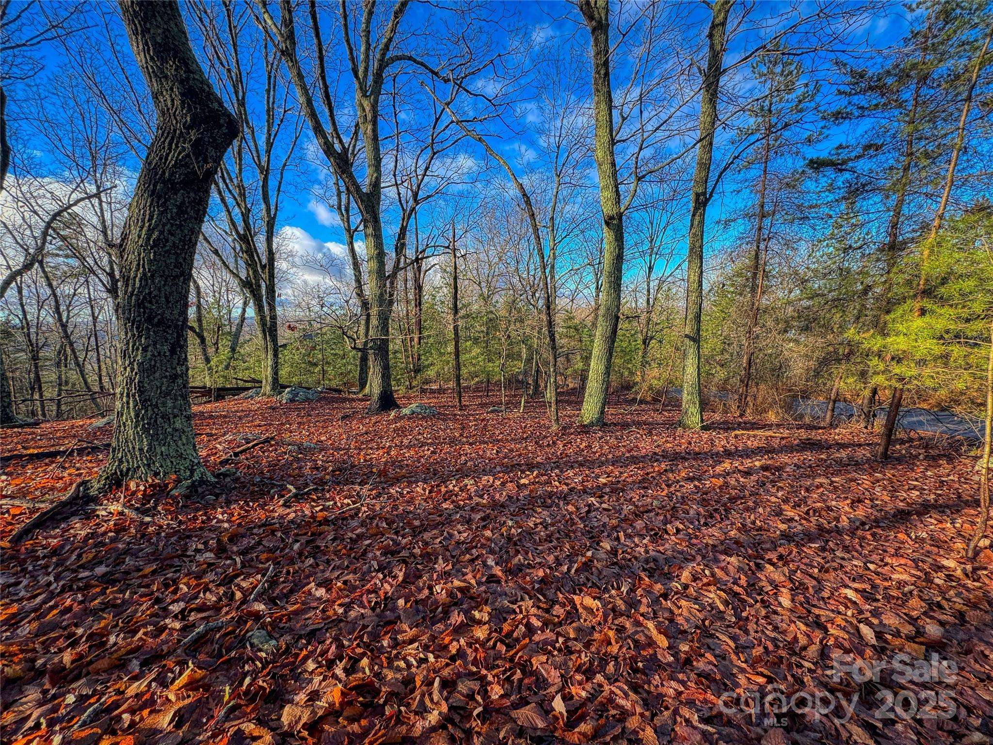 338 Sierra Trace RD, Denton, NC 27239