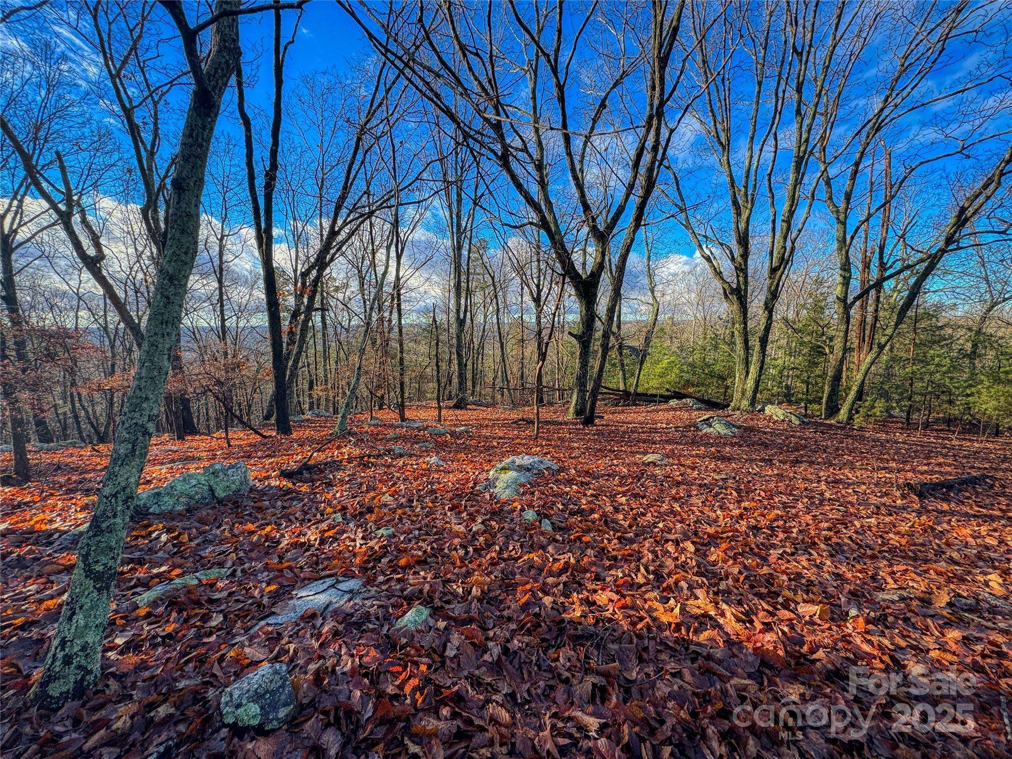 338 Sierra Trace RD, Denton, NC 27239