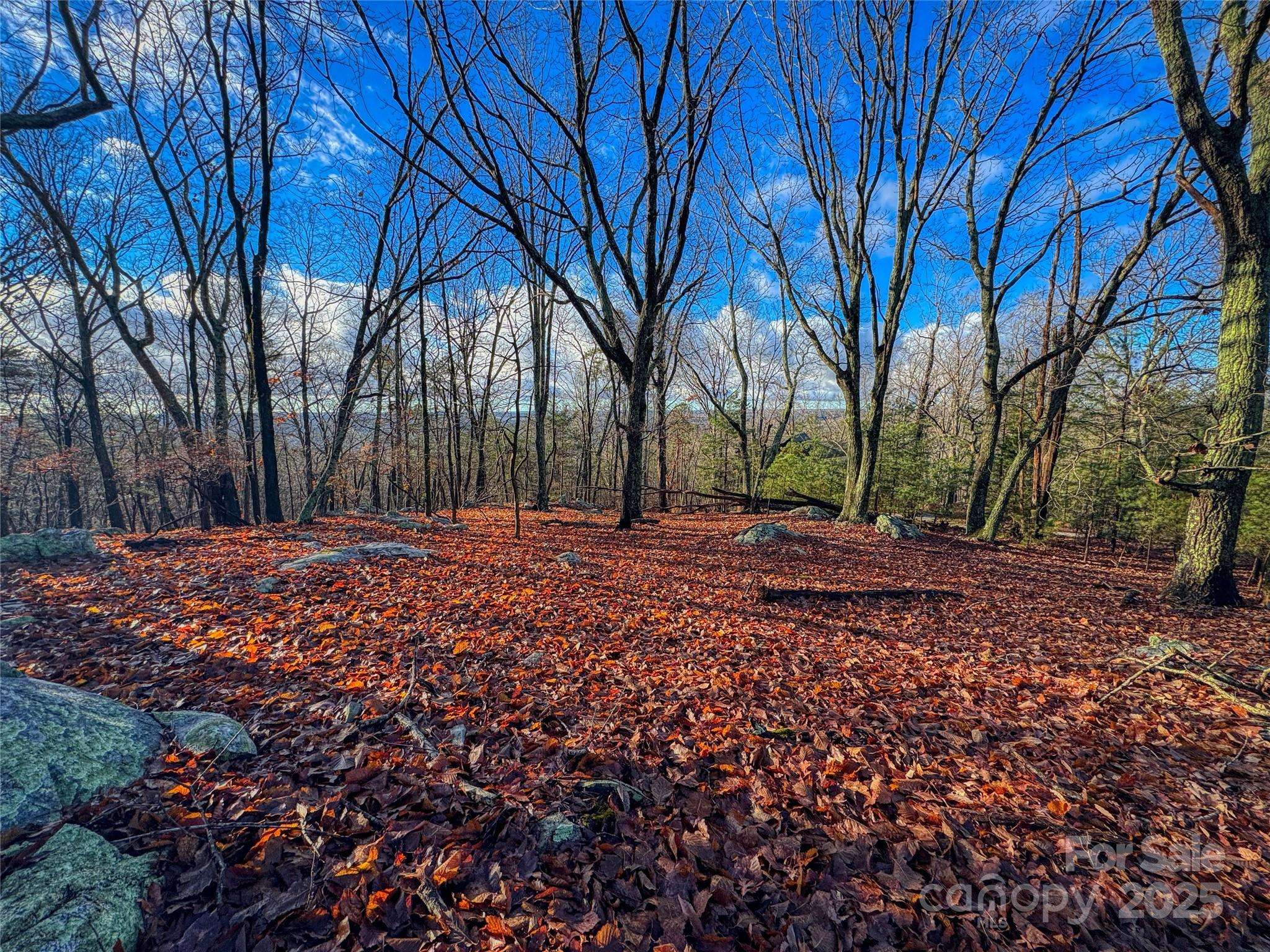 338 Sierra Trace RD, Denton, NC 27239
