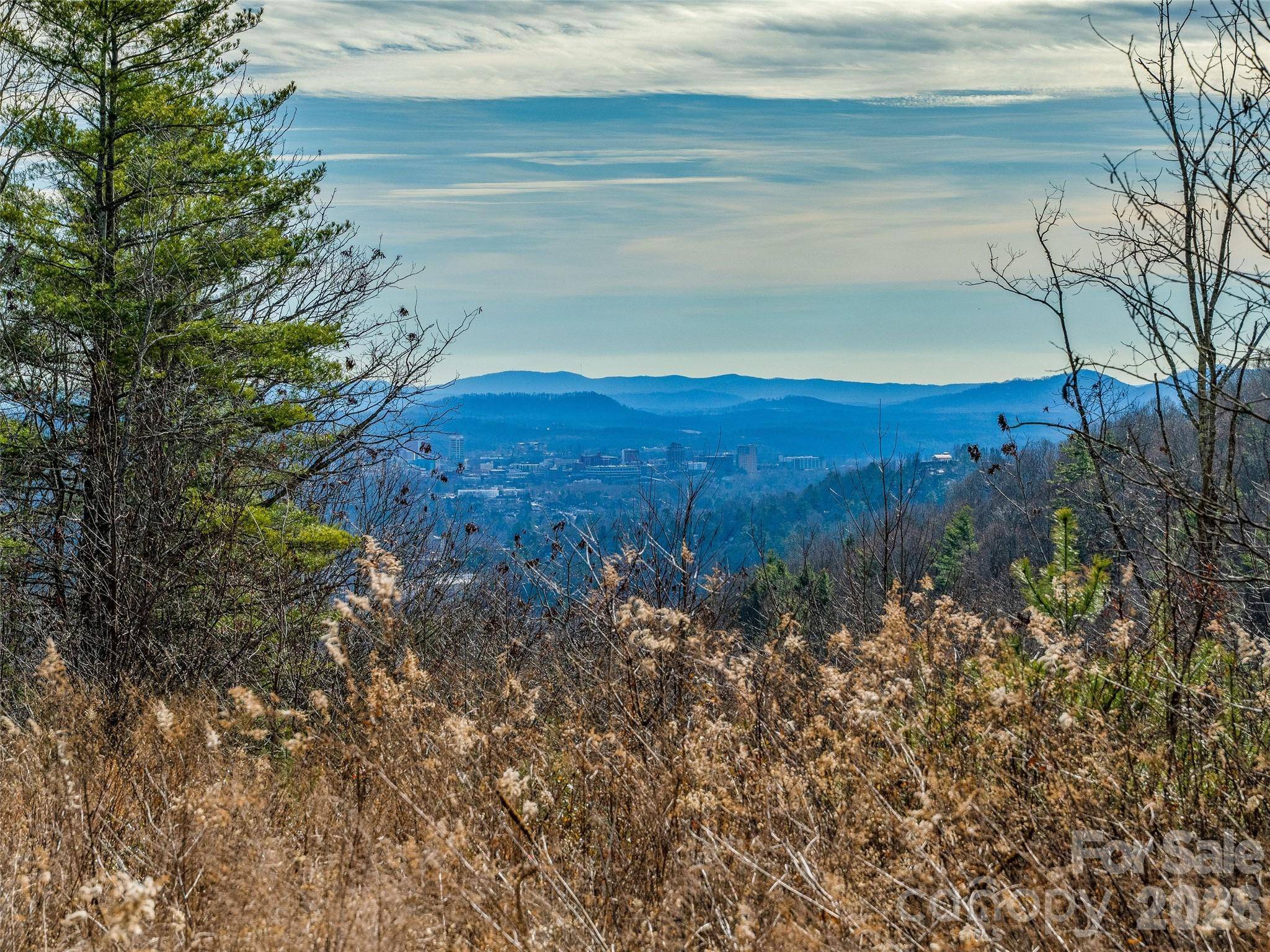 10 Villa Nova DR, Asheville, NC 28804