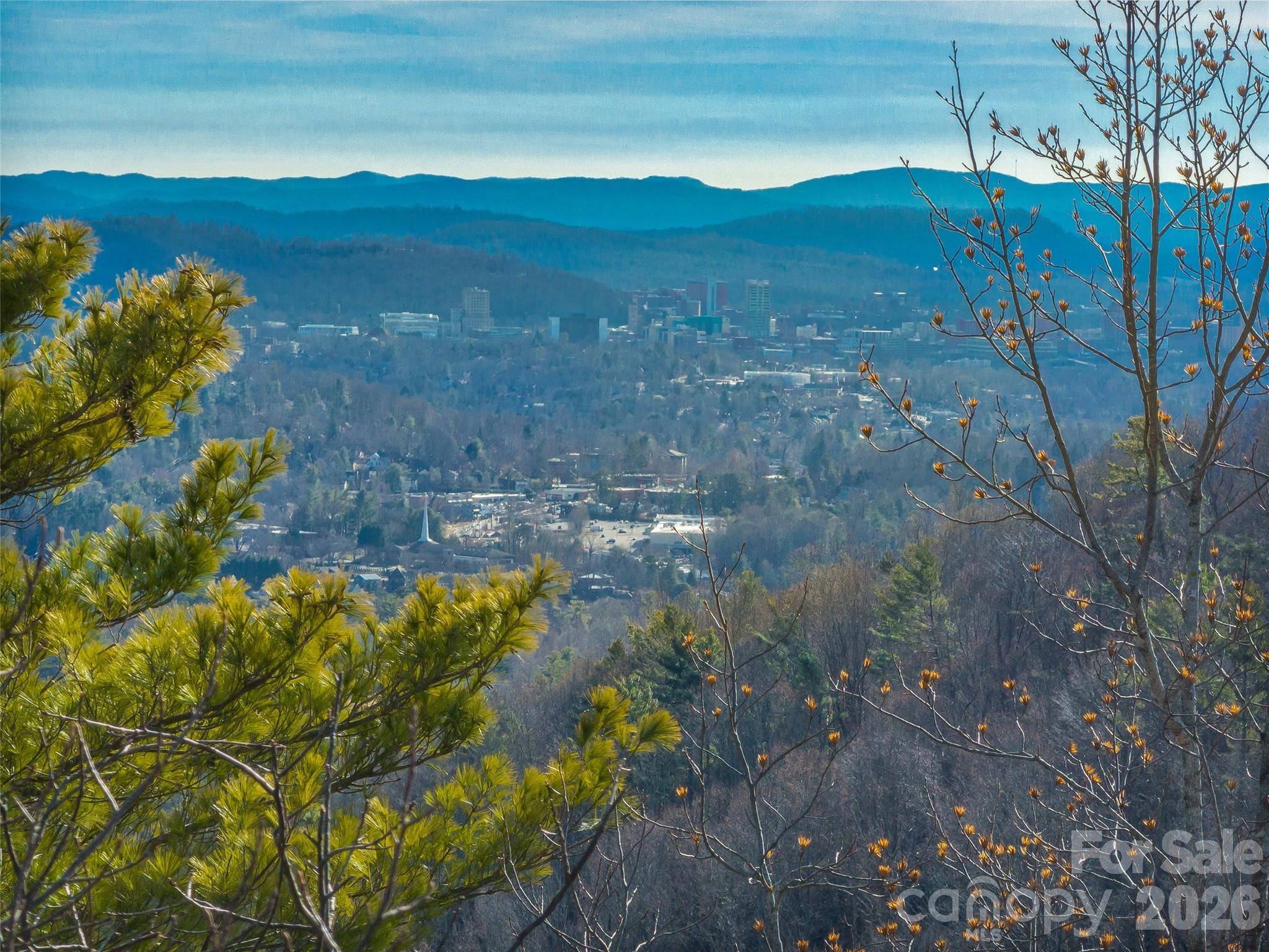 10 Villa Nova DR, Asheville, NC 28804