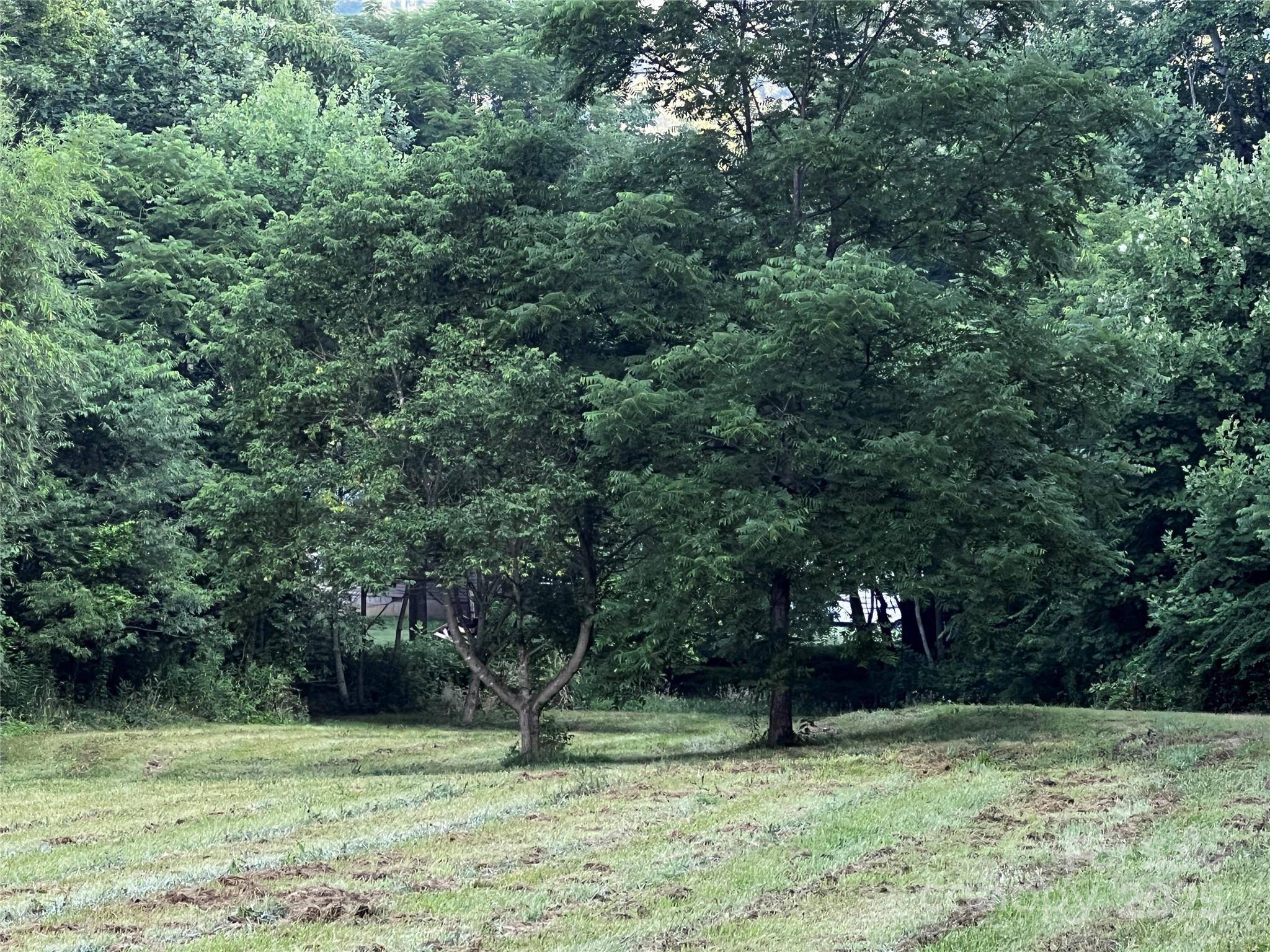 Lot 1 Turtle Rock LN, Waynesville, NC 28785