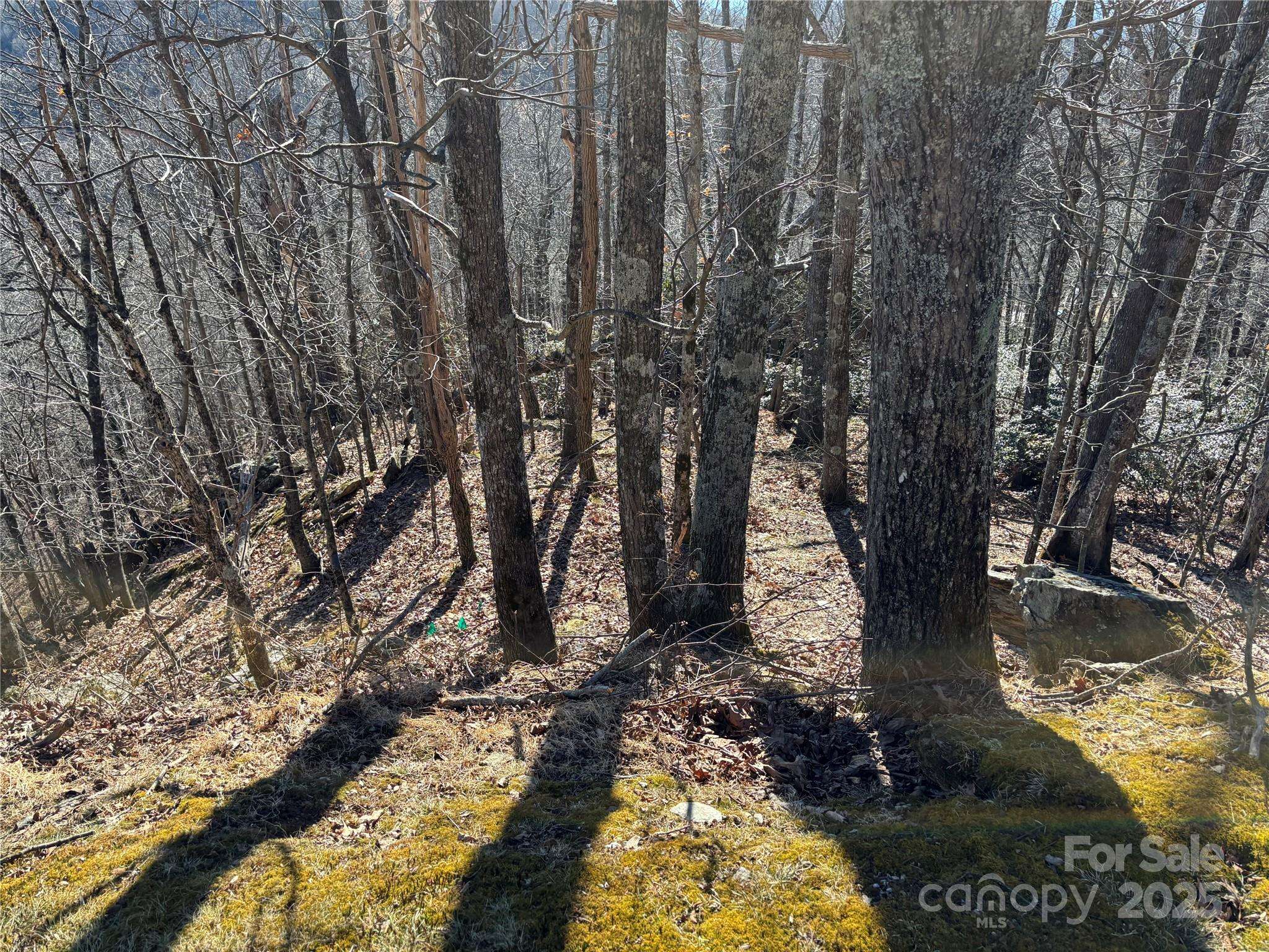TBD State View RD, Boone, NC 28607