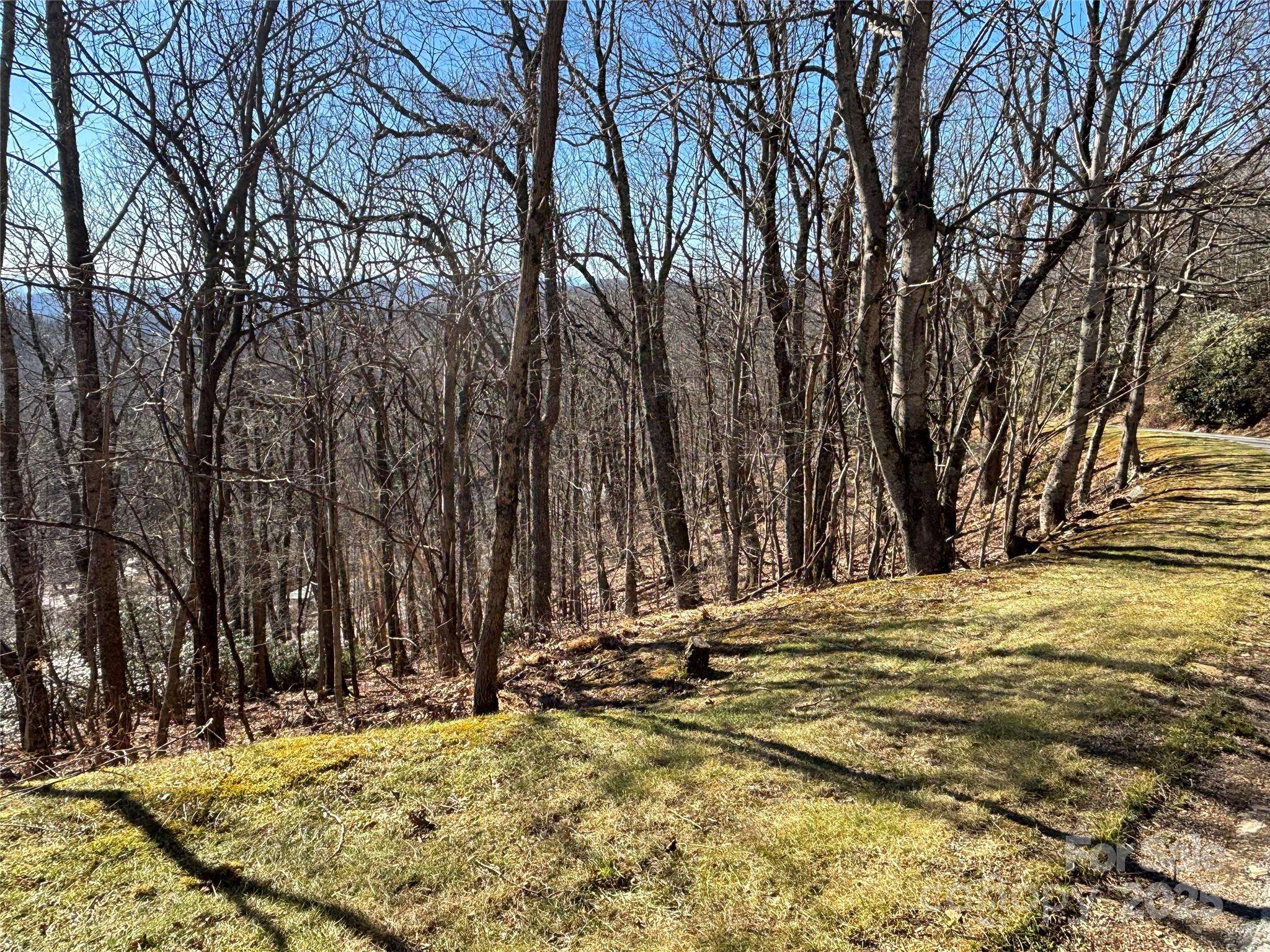TBD State View RD, Boone, NC 28607
