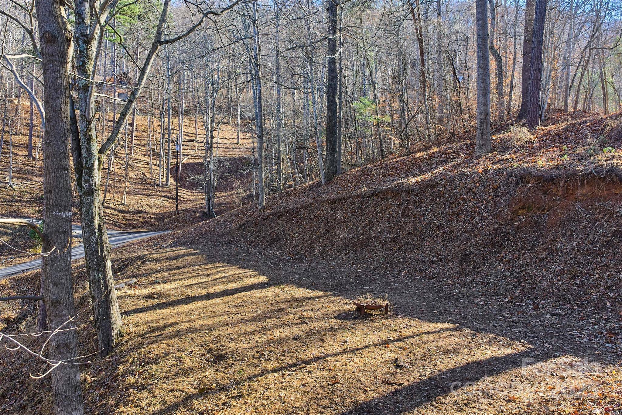 15 Beech Tree LN, Asheville, NC 28804
