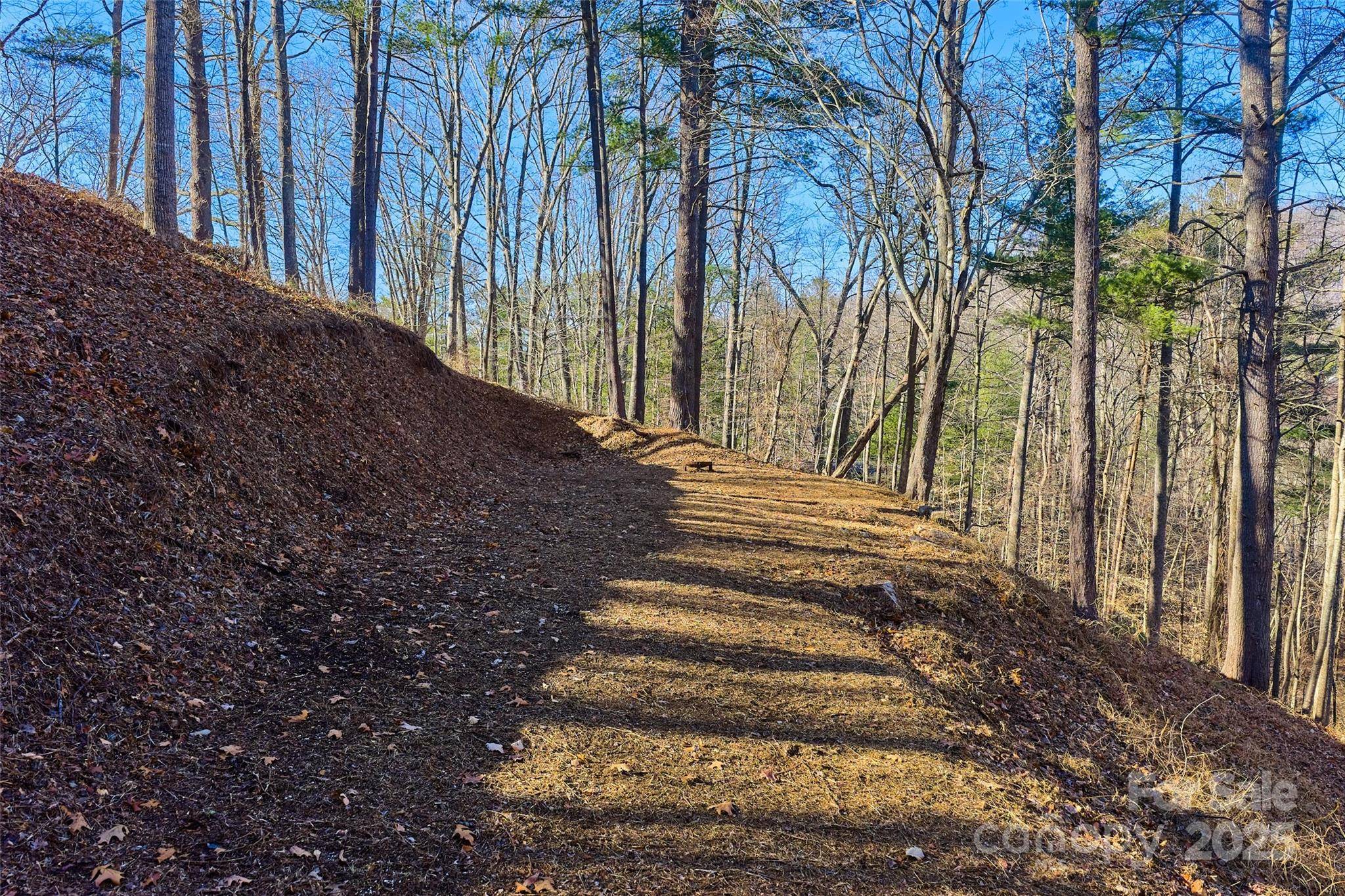 15 Beech Tree LN, Asheville, NC 28804