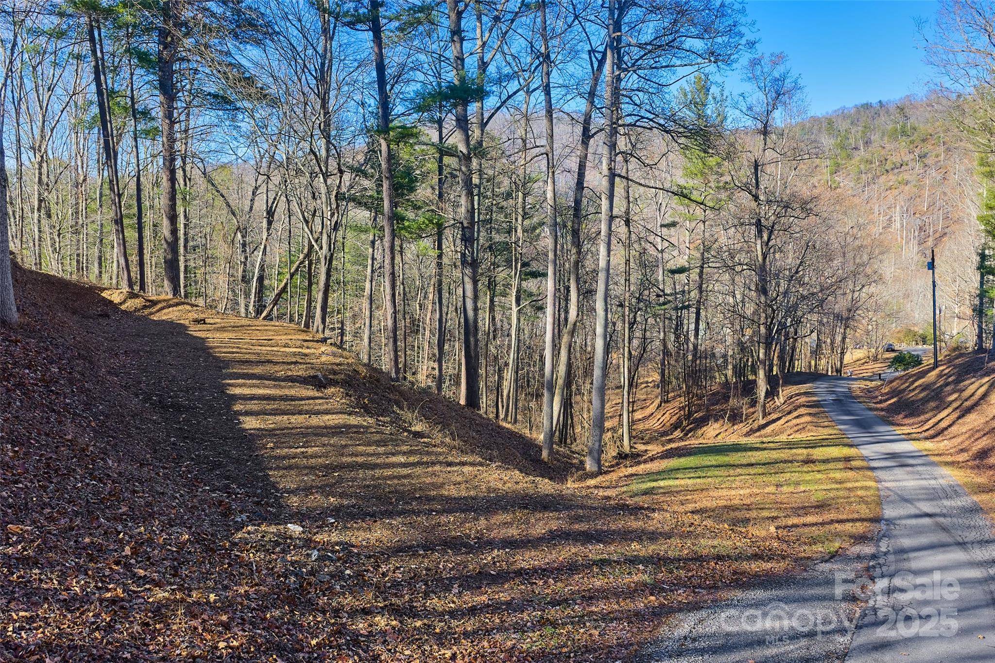 15 Beech Tree LN, Asheville, NC 28804