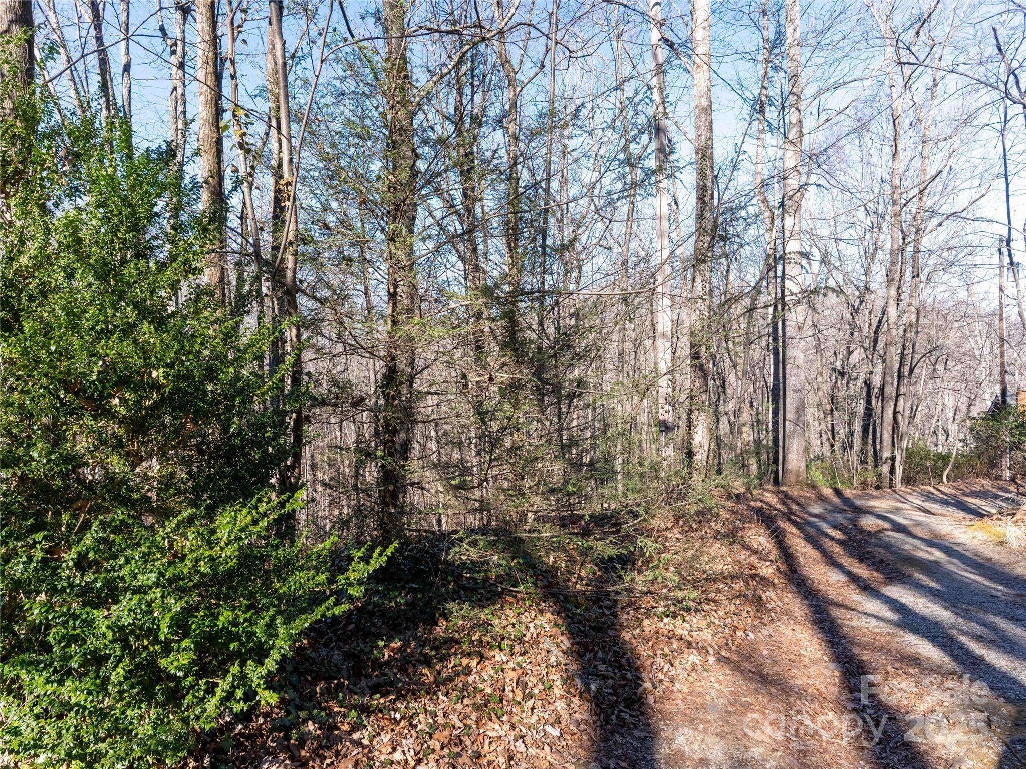 00 Mountain Page RD #17,18,19, Saluda, NC 28773