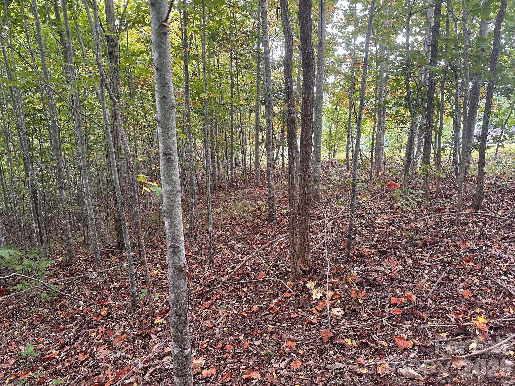 311 Scenic Vista DR #254, Nebo, NC 28761