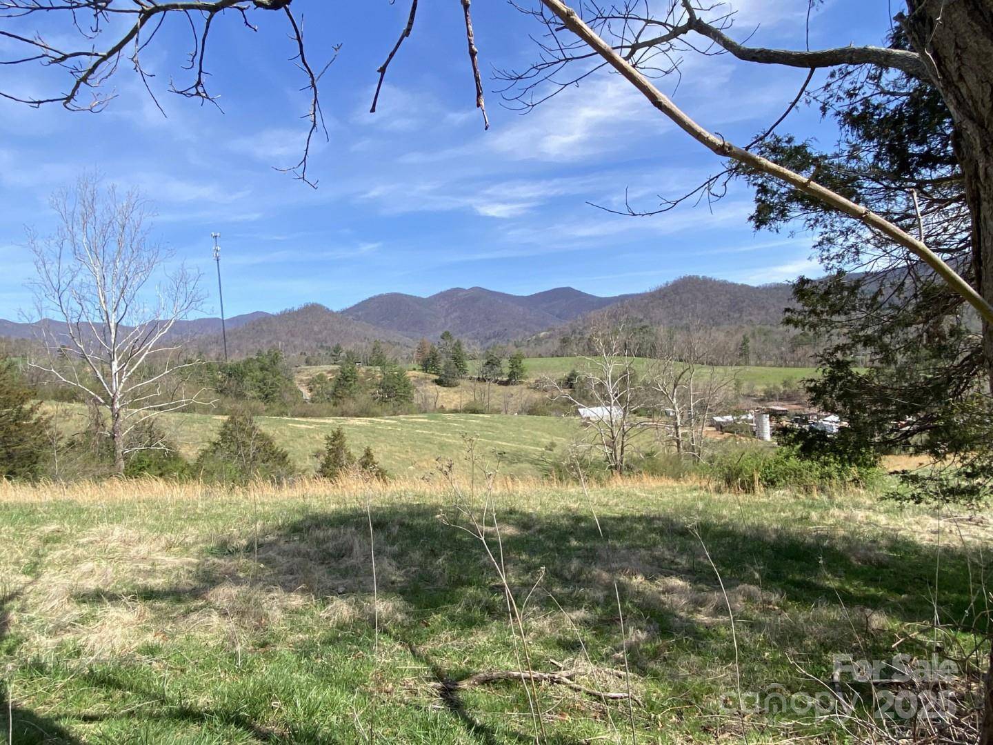 1 Pink Fox Cove RD, Weaverville, NC 28787