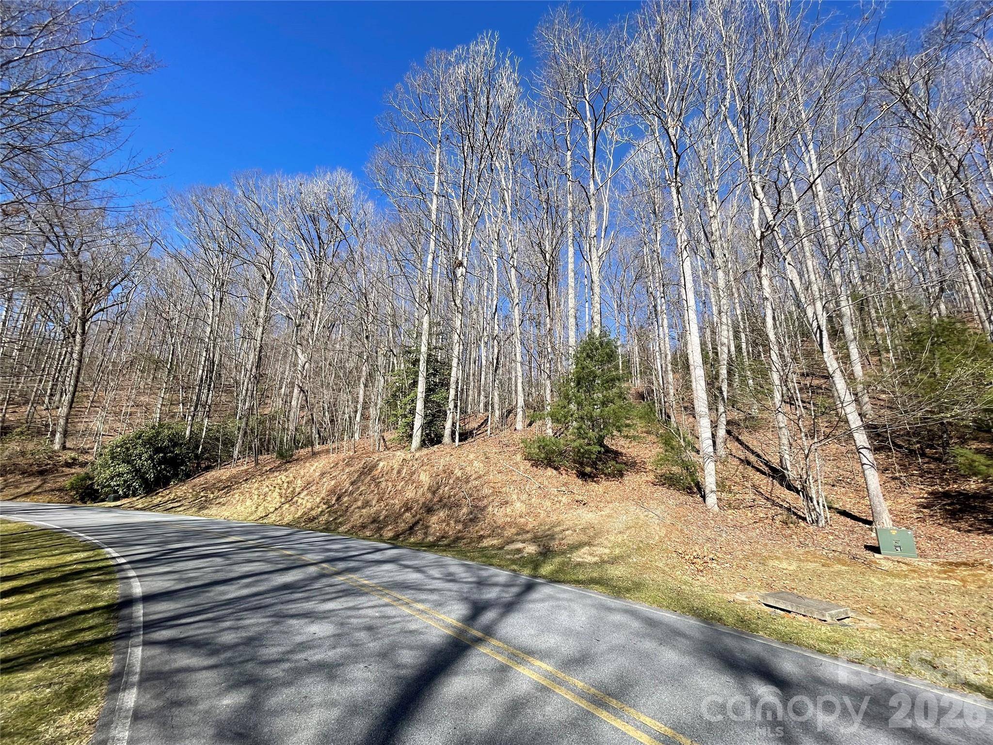 00 Chattooga RUN #292R, Hendersonville, NC 28739