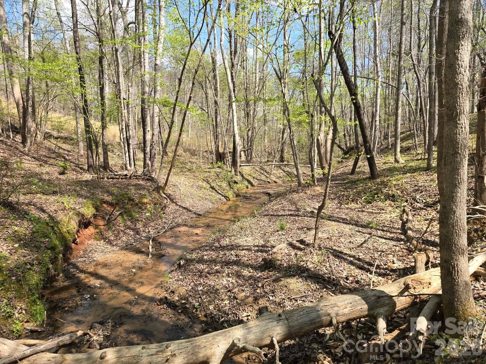 Lot 26 Grandview DR #26, Rutherfordton, NC 28139