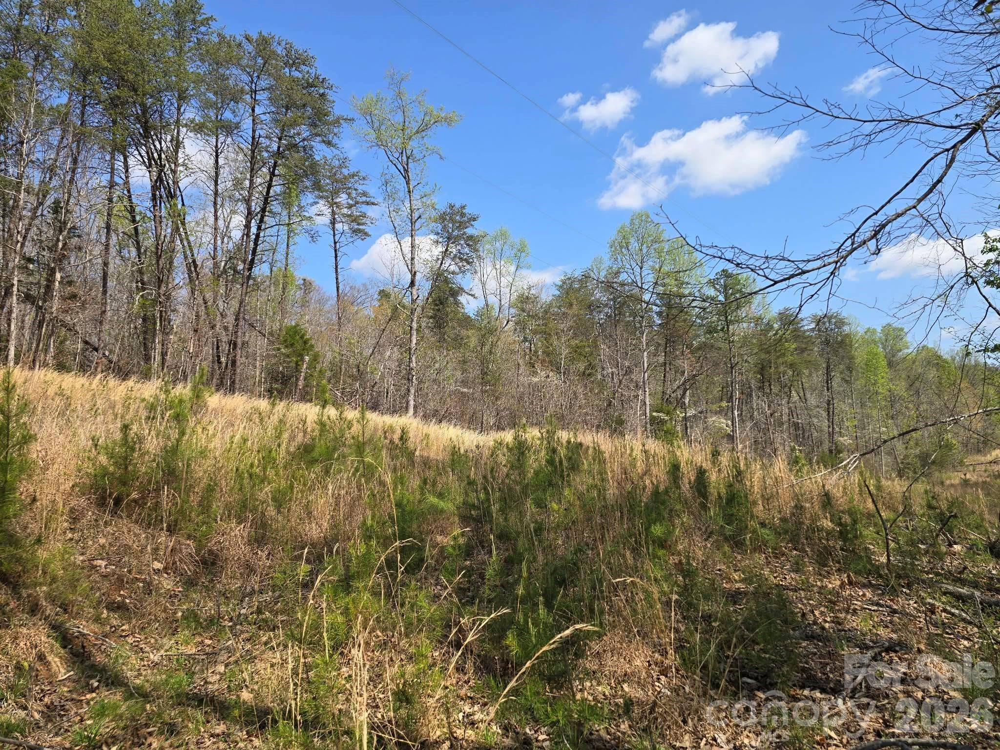 Lot 26 Grandview DR #26, Rutherfordton, NC 28139