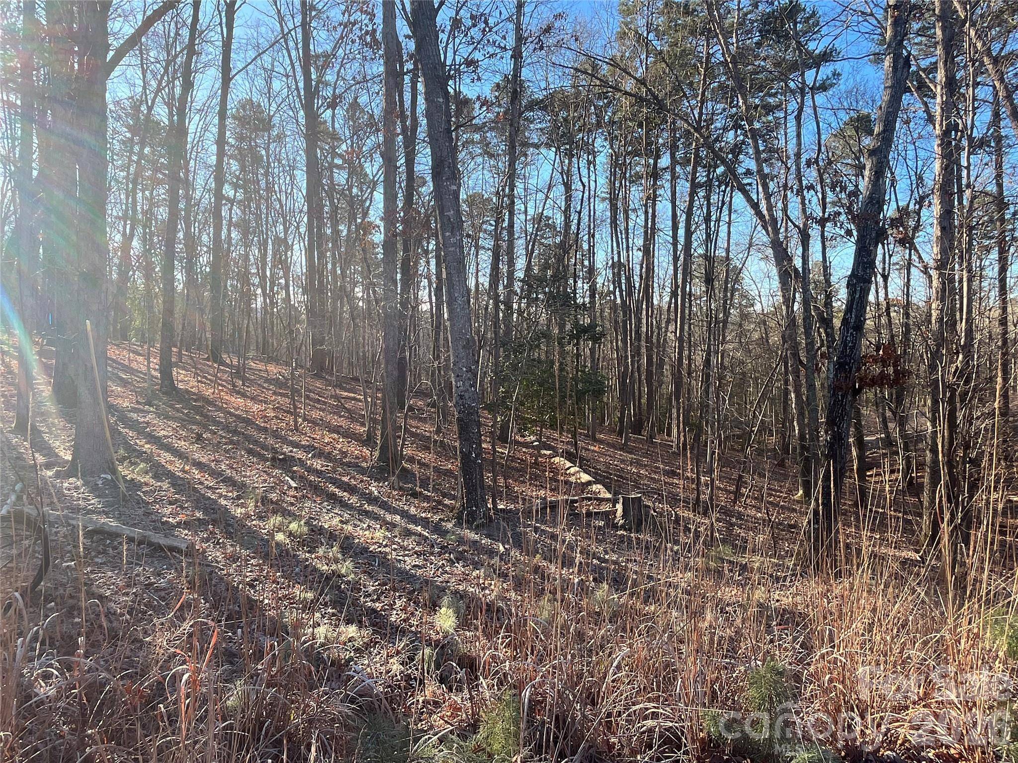 1866 Fairfield RD, Mount Gilead, NC 27306