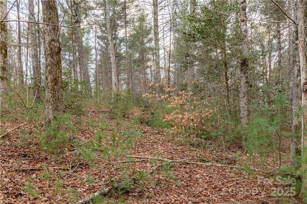 1209 Lakeside WAY NW #6, Valdese, NC 28690