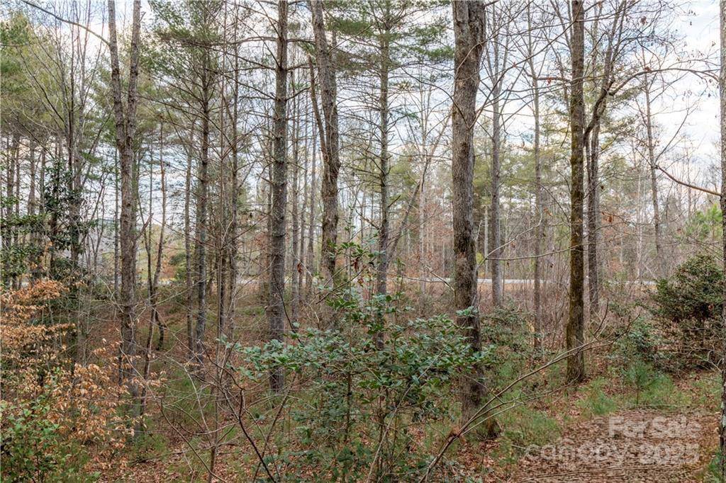 1209 Lakeside WAY NW #6, Valdese, NC 28690