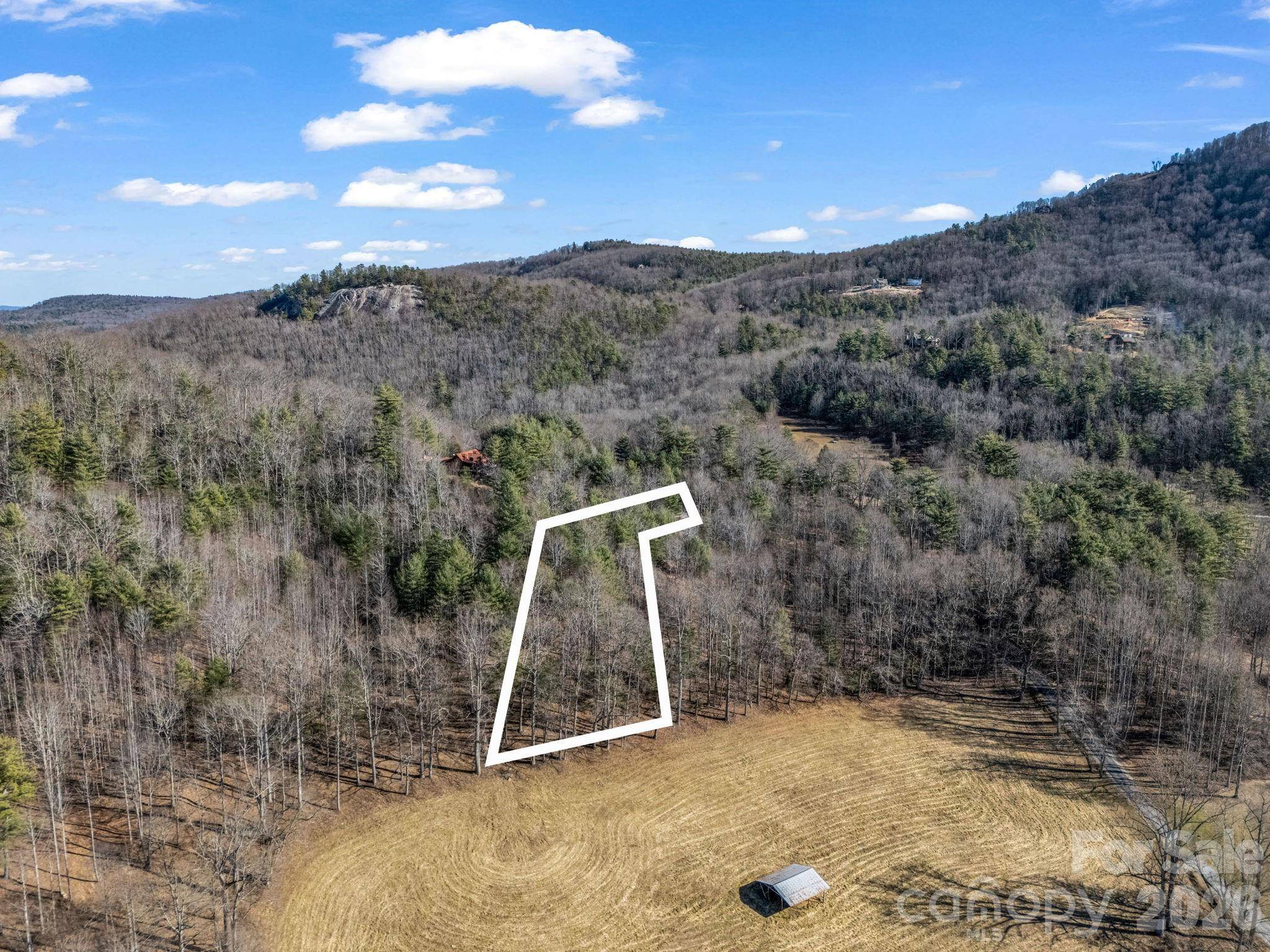171 Justamere LN, Hendersonville, NC 28739