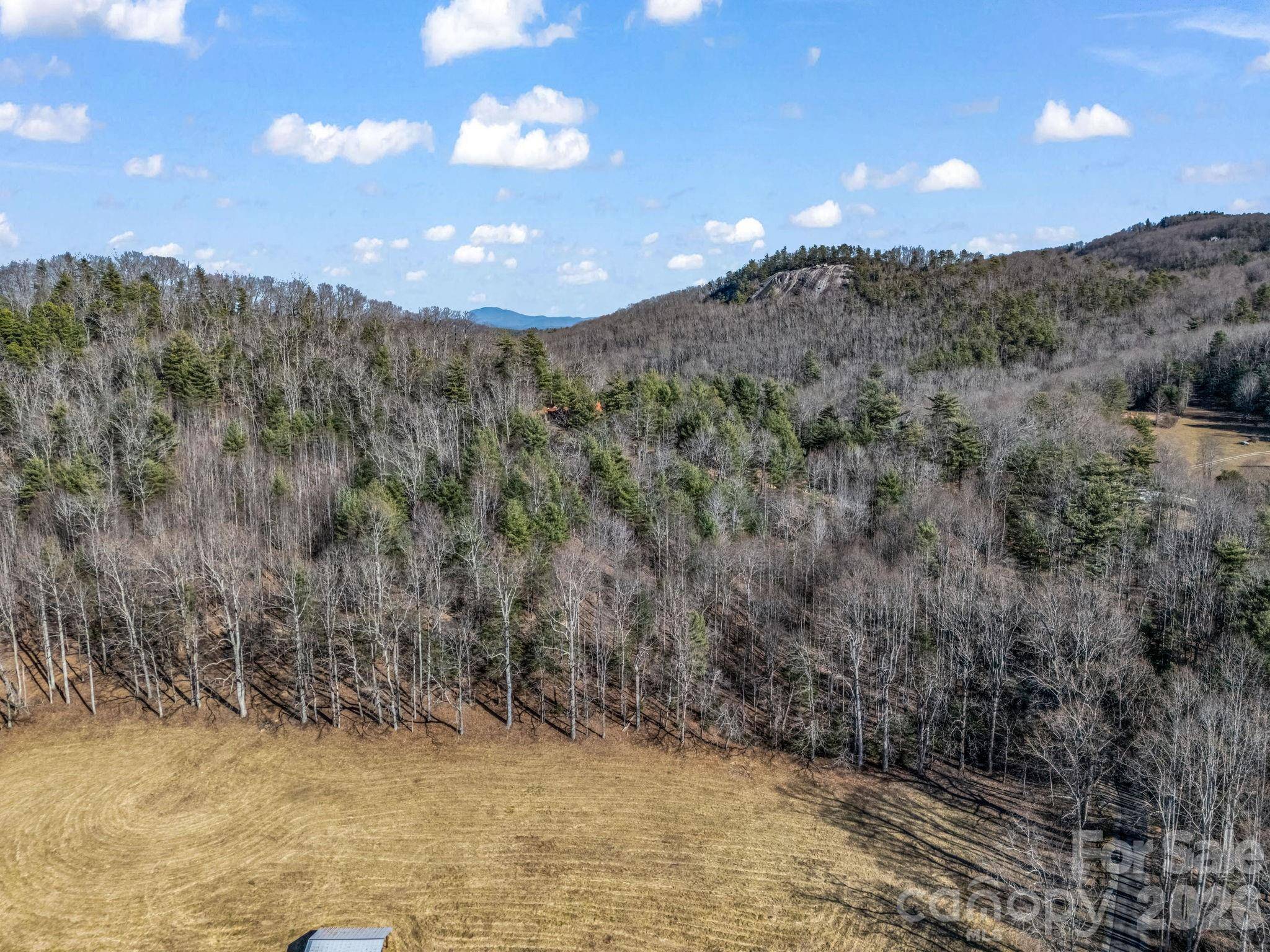 171 Justamere LN, Hendersonville, NC 28739