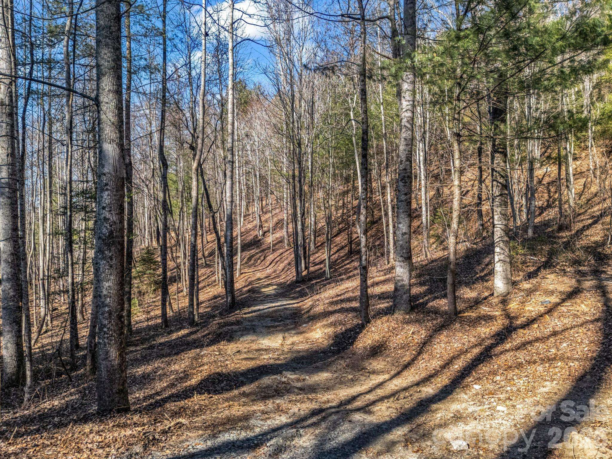 181 Justamere LN, Hendersonville, NC 28739