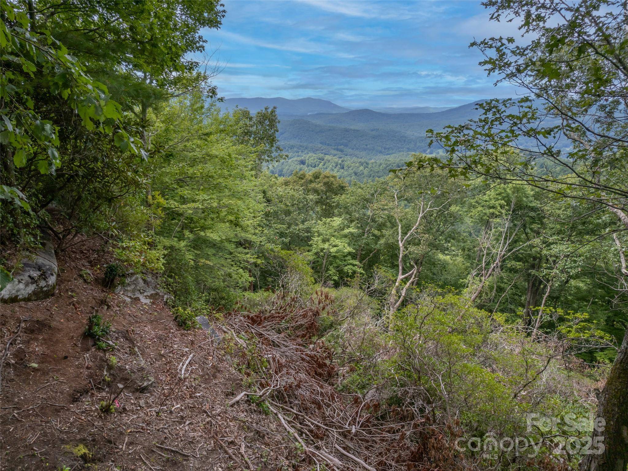 20 Highland Point DR, Hendersonville, NC 28739