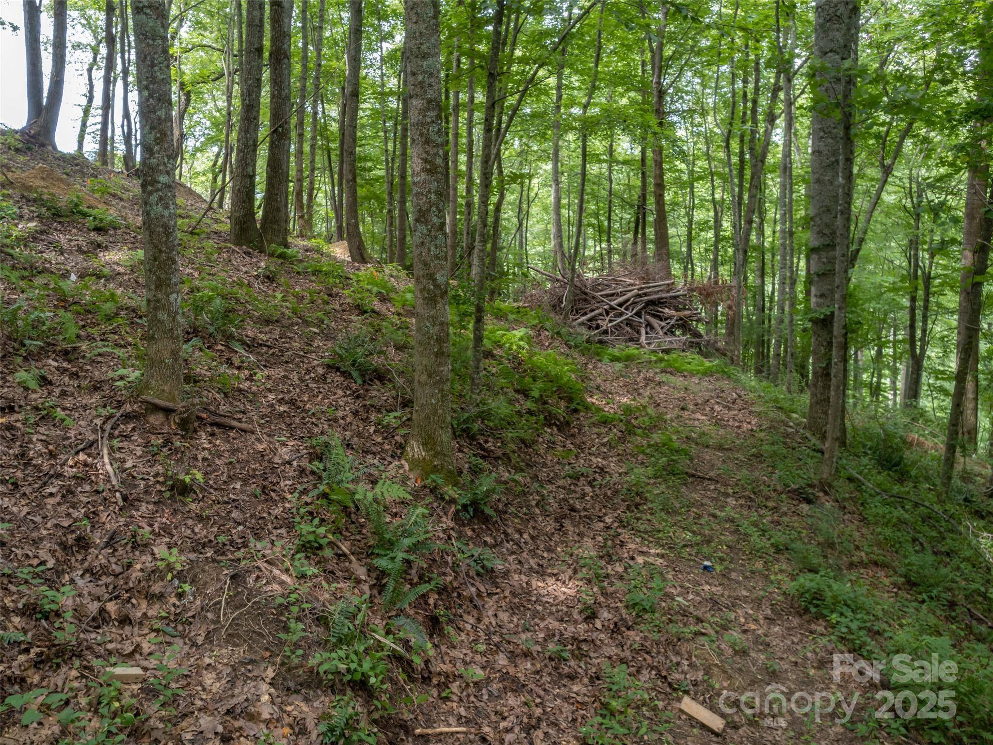20 Highland Point DR, Hendersonville, NC 28739