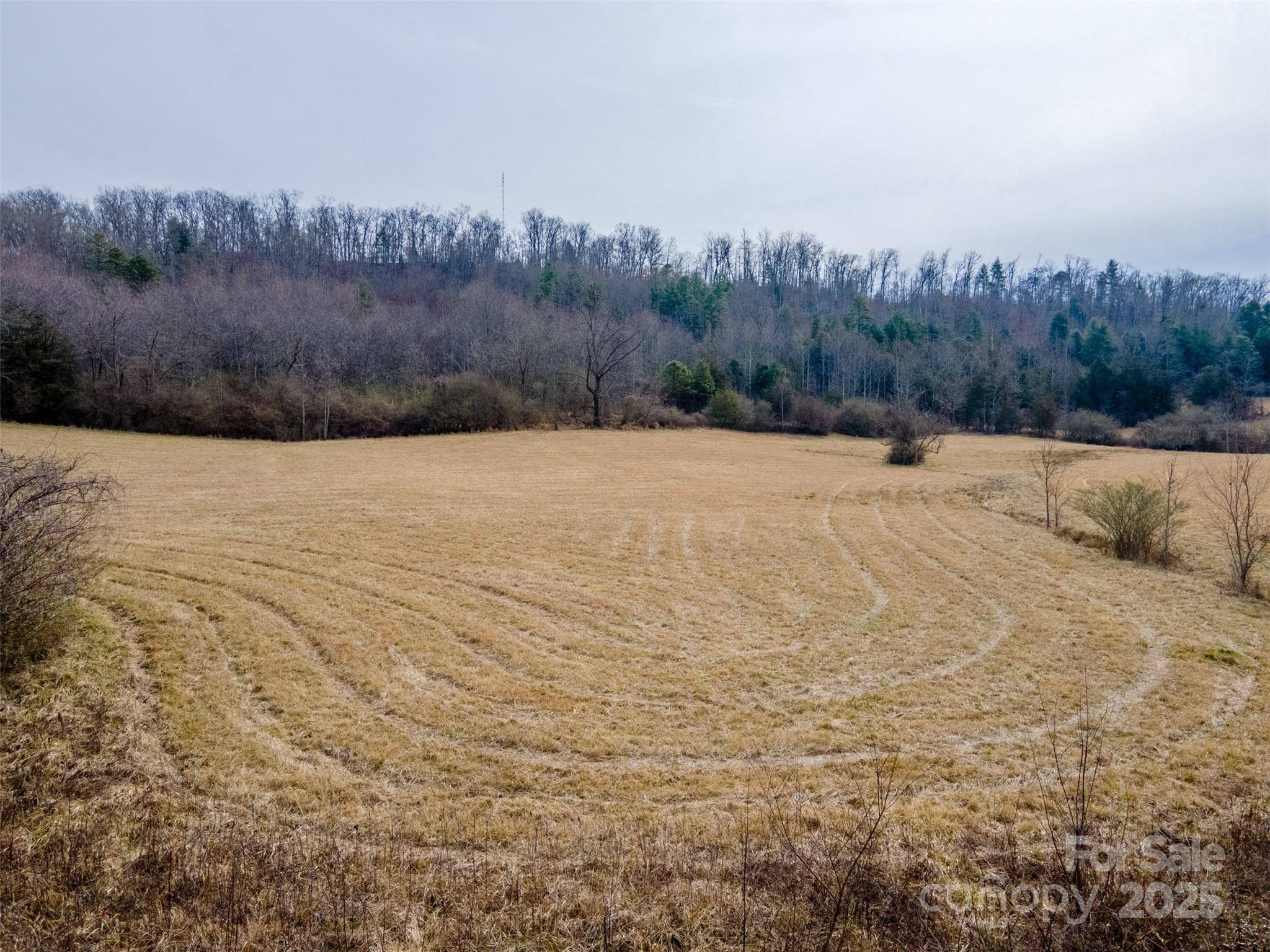 0 Georgia RD, Franklin, NC 28734