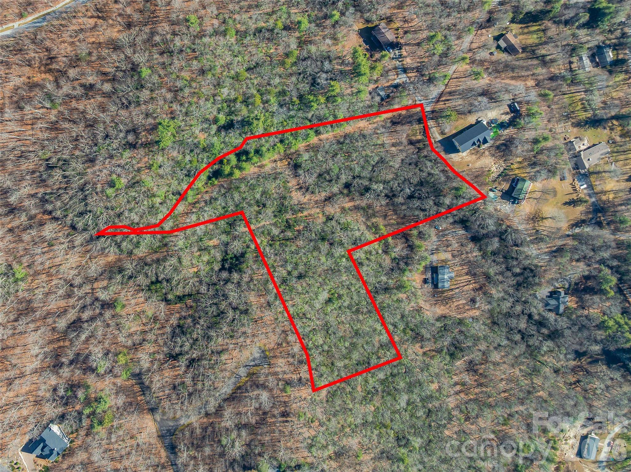 9999 Coy-Evie LN, Laurel Park, NC 28739