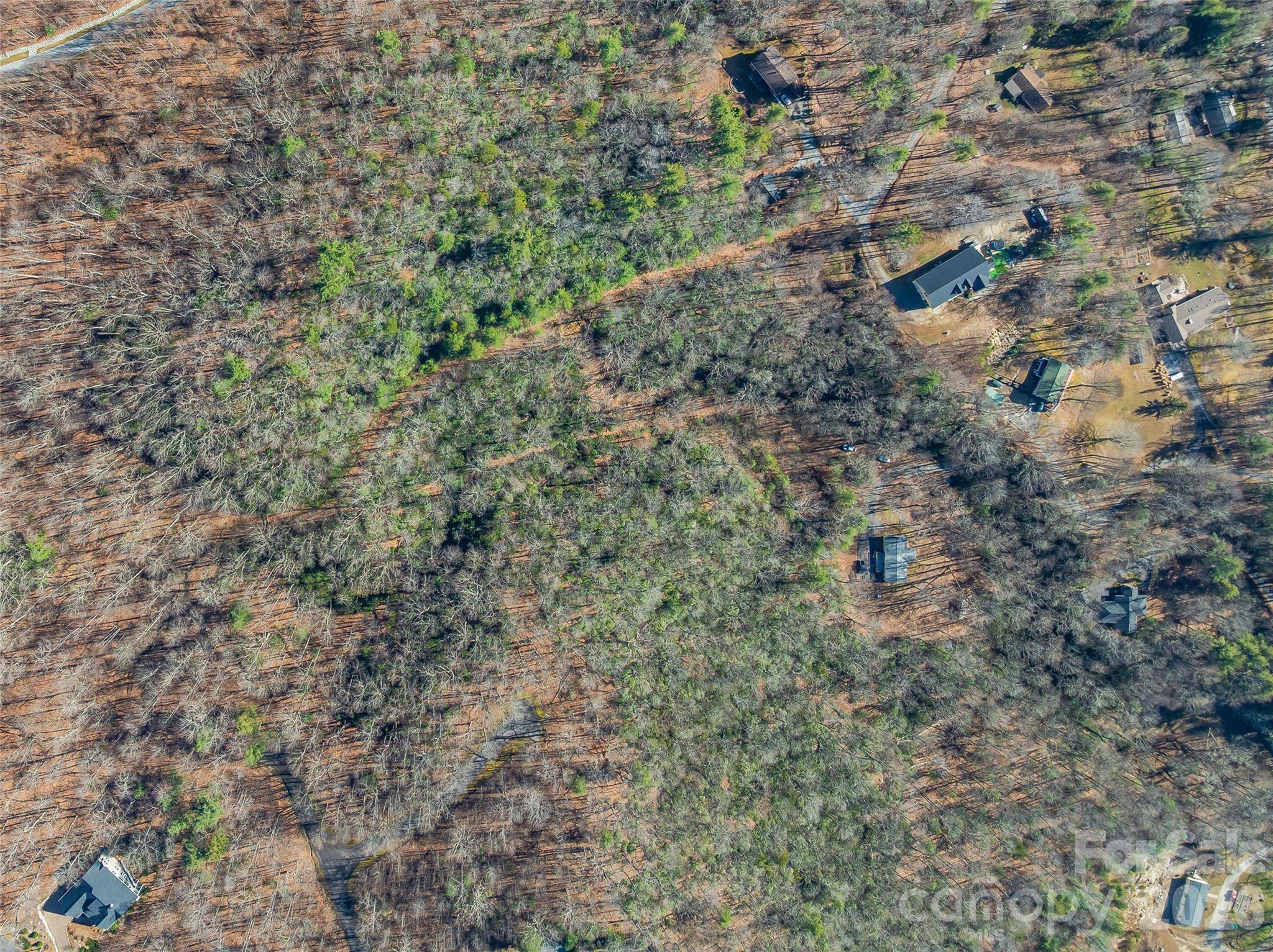 9999 Coy-Evie LN, Laurel Park, NC 28739
