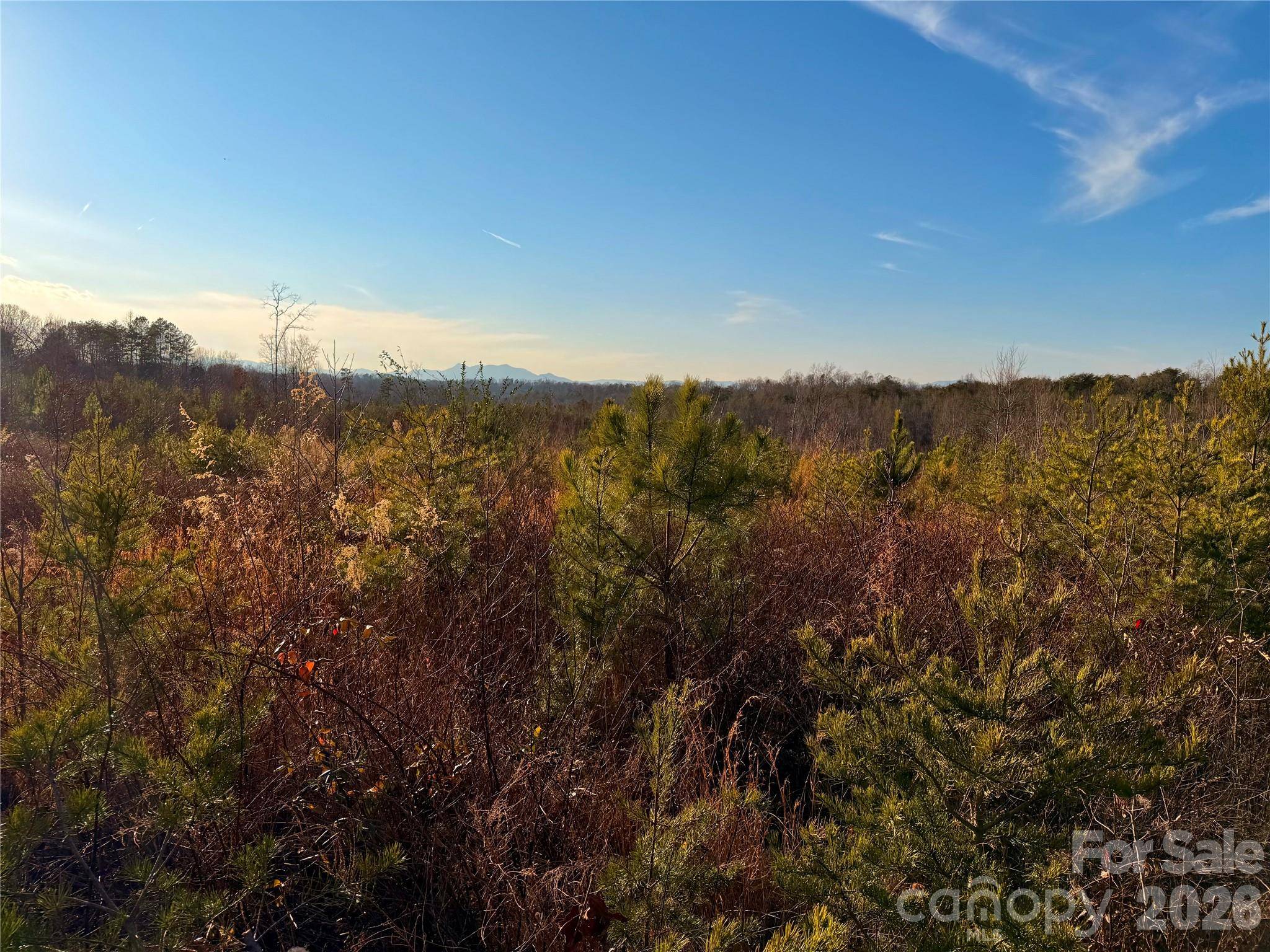 0 Brady Hampton DR, Rutherfordton, NC 28139