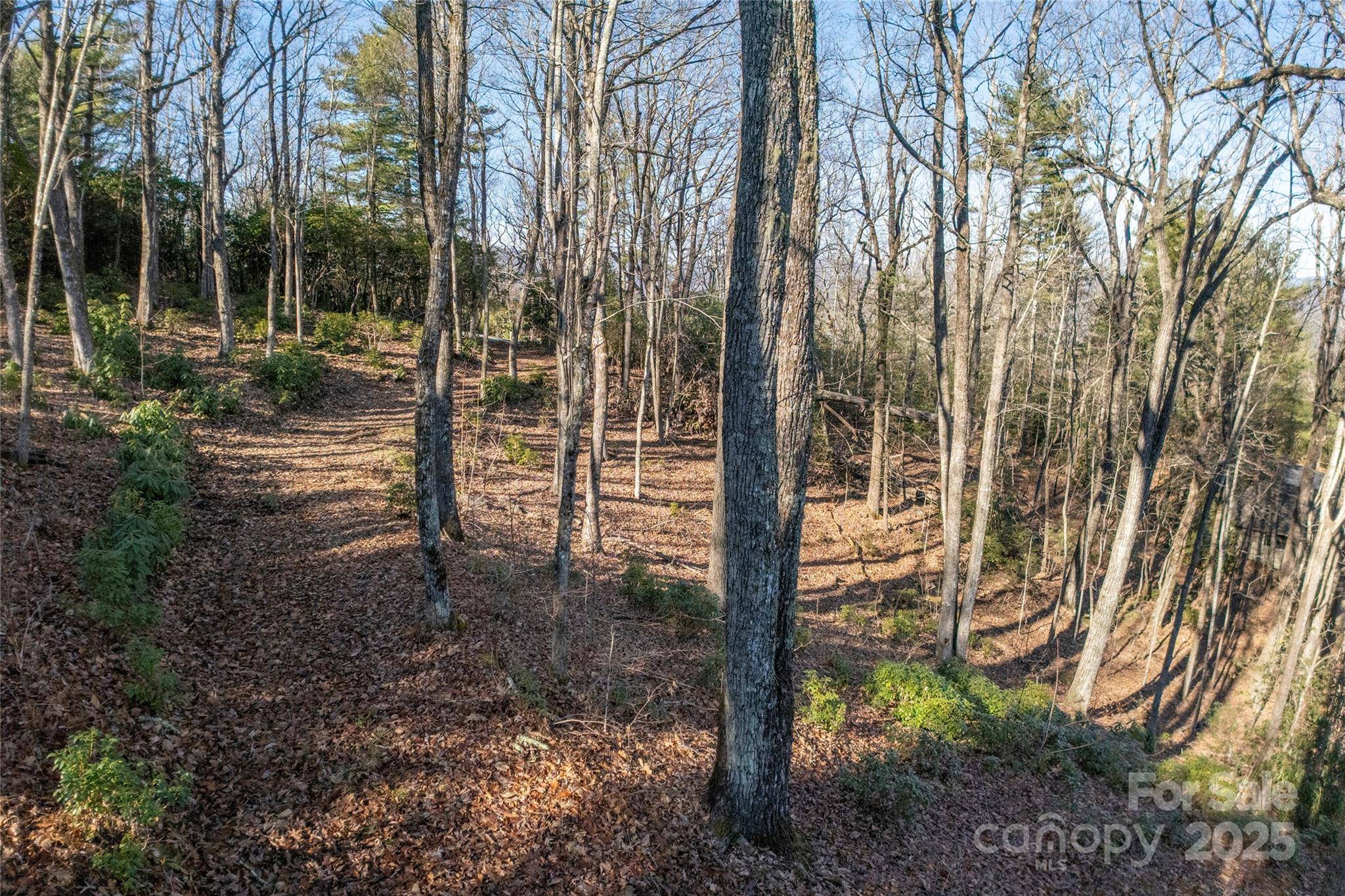 Lot 25 Lakeside TRL, Lake Toxaway, NC 28747