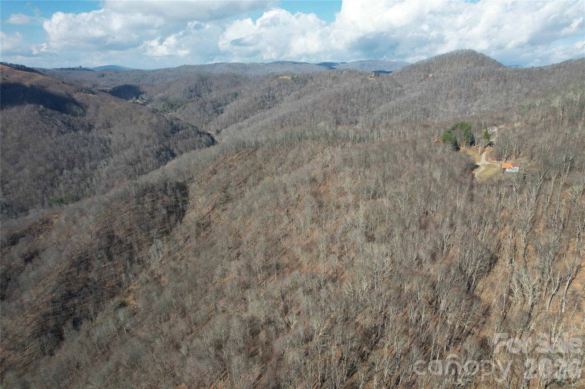 00 Mule Stomp RD, Clyde, NC 28721
