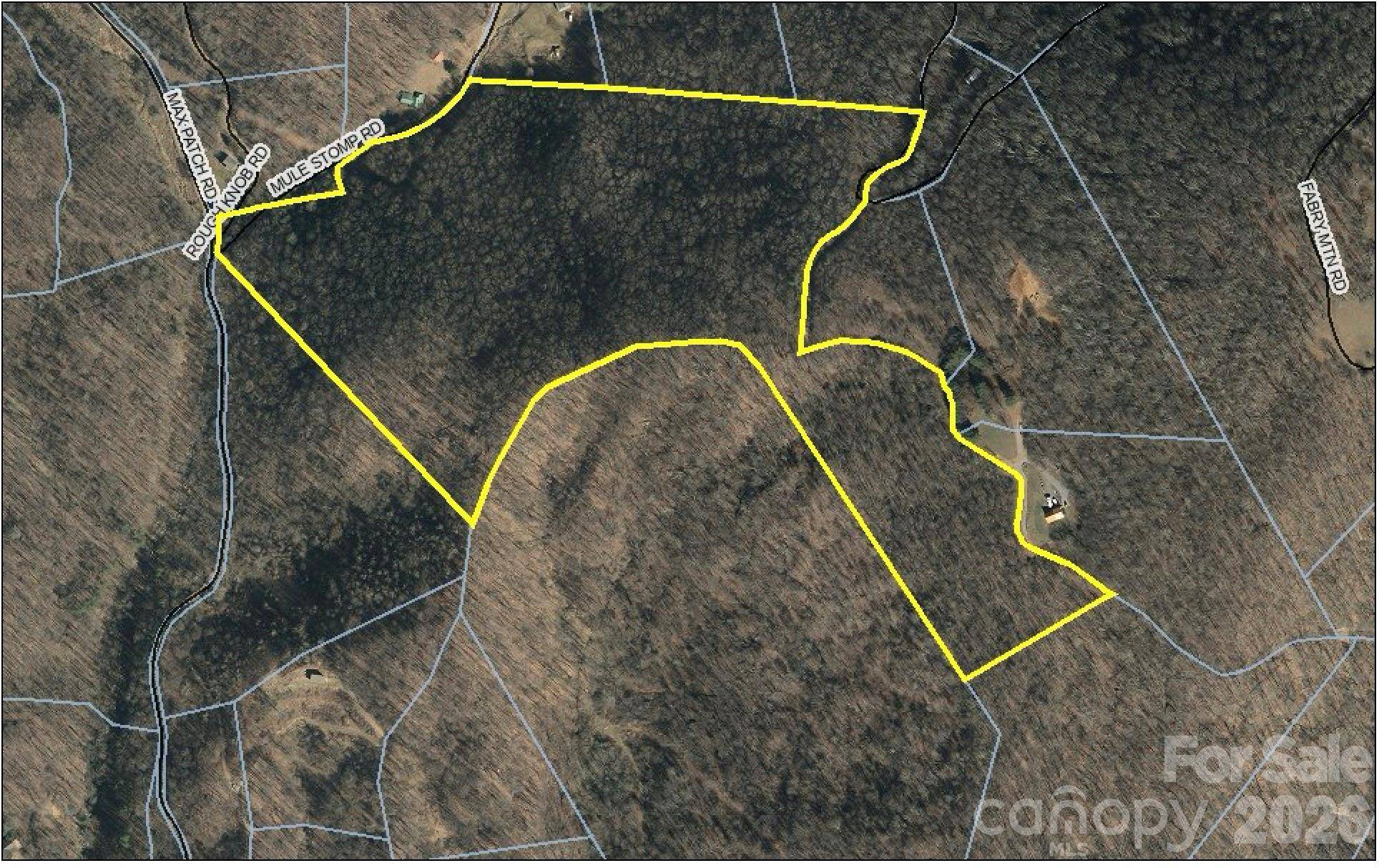 00 Mule Stomp RD, Clyde, NC 28721