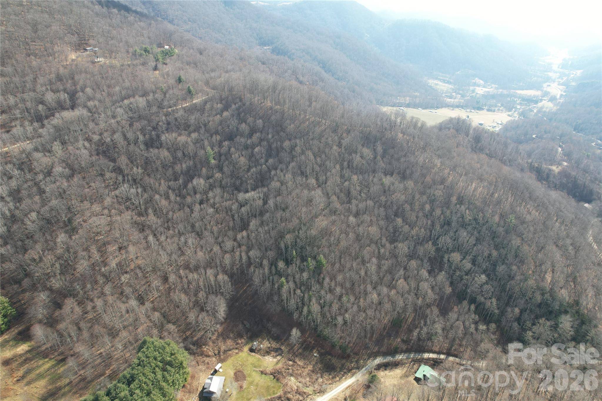 00 Mule Stomp RD, Clyde, NC 28721