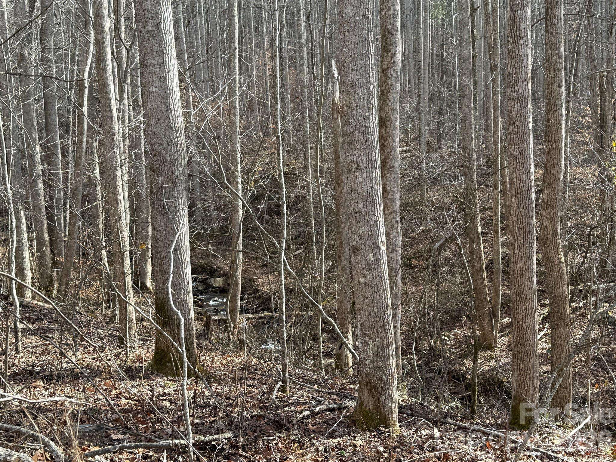 00000 Martins Creek RD, Barnardsville, NC 28709