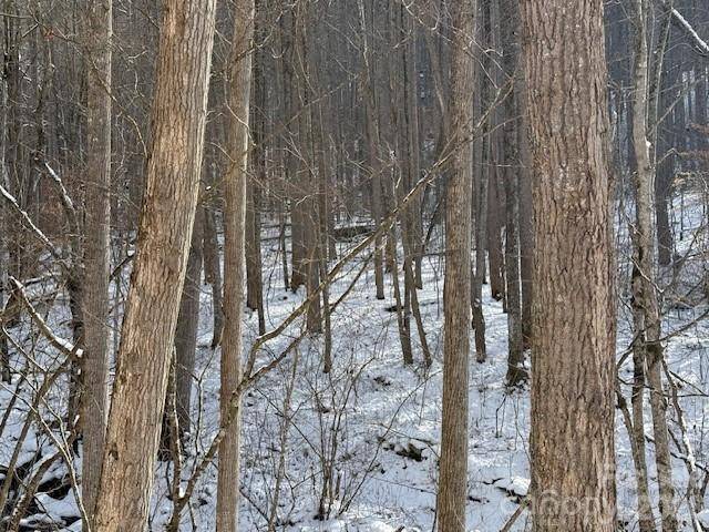 00000 Martins Creek RD, Barnardsville, NC 28709