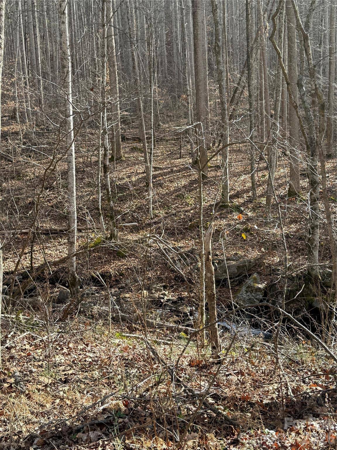 00000 Martins Creek RD, Barnardsville, NC 28709