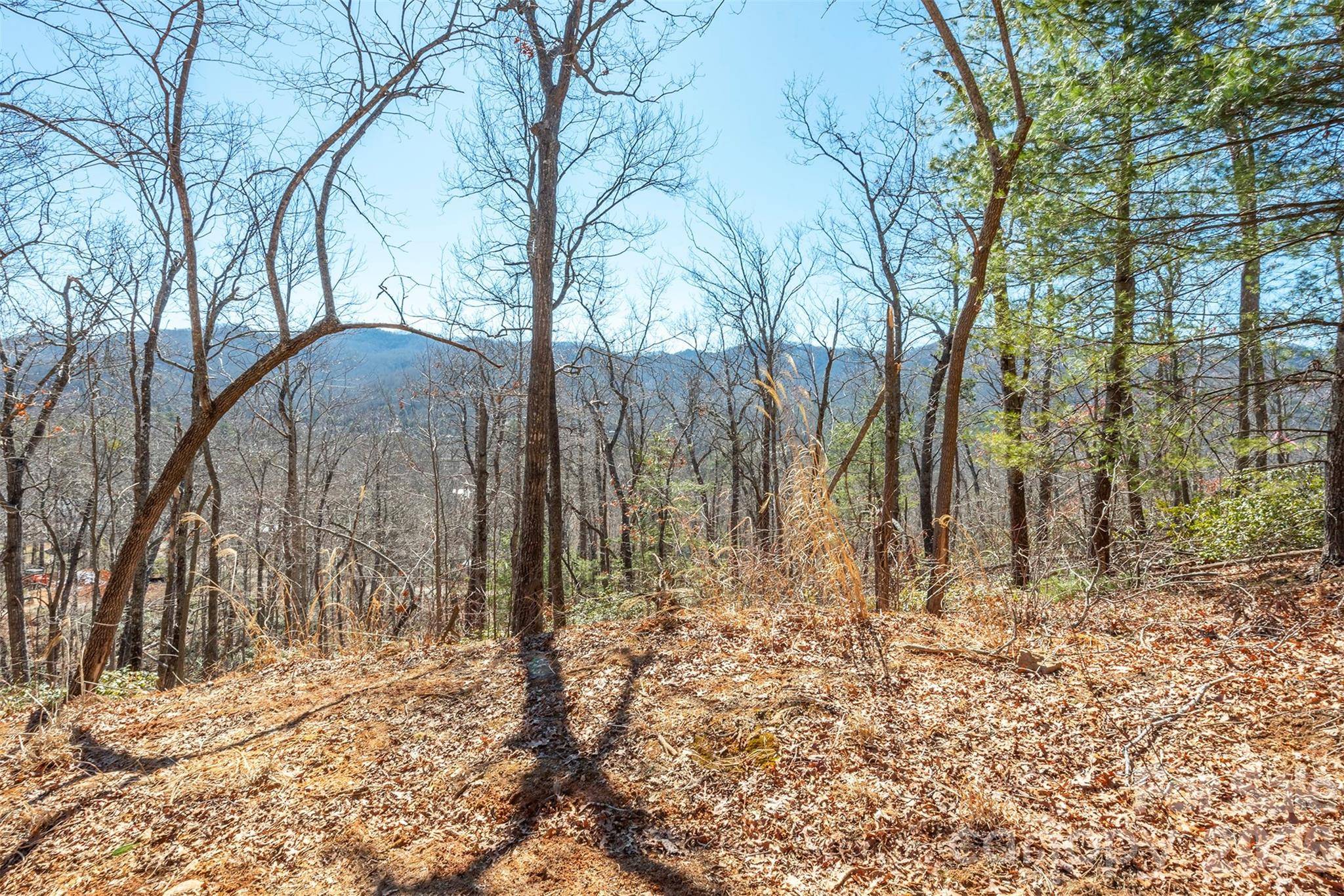 107 Bartram WAY, Black Mountain, NC 28711