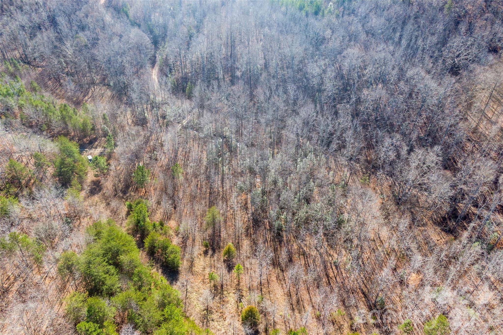 0 W Pasture DR #36, Ellenboro, NC 28040