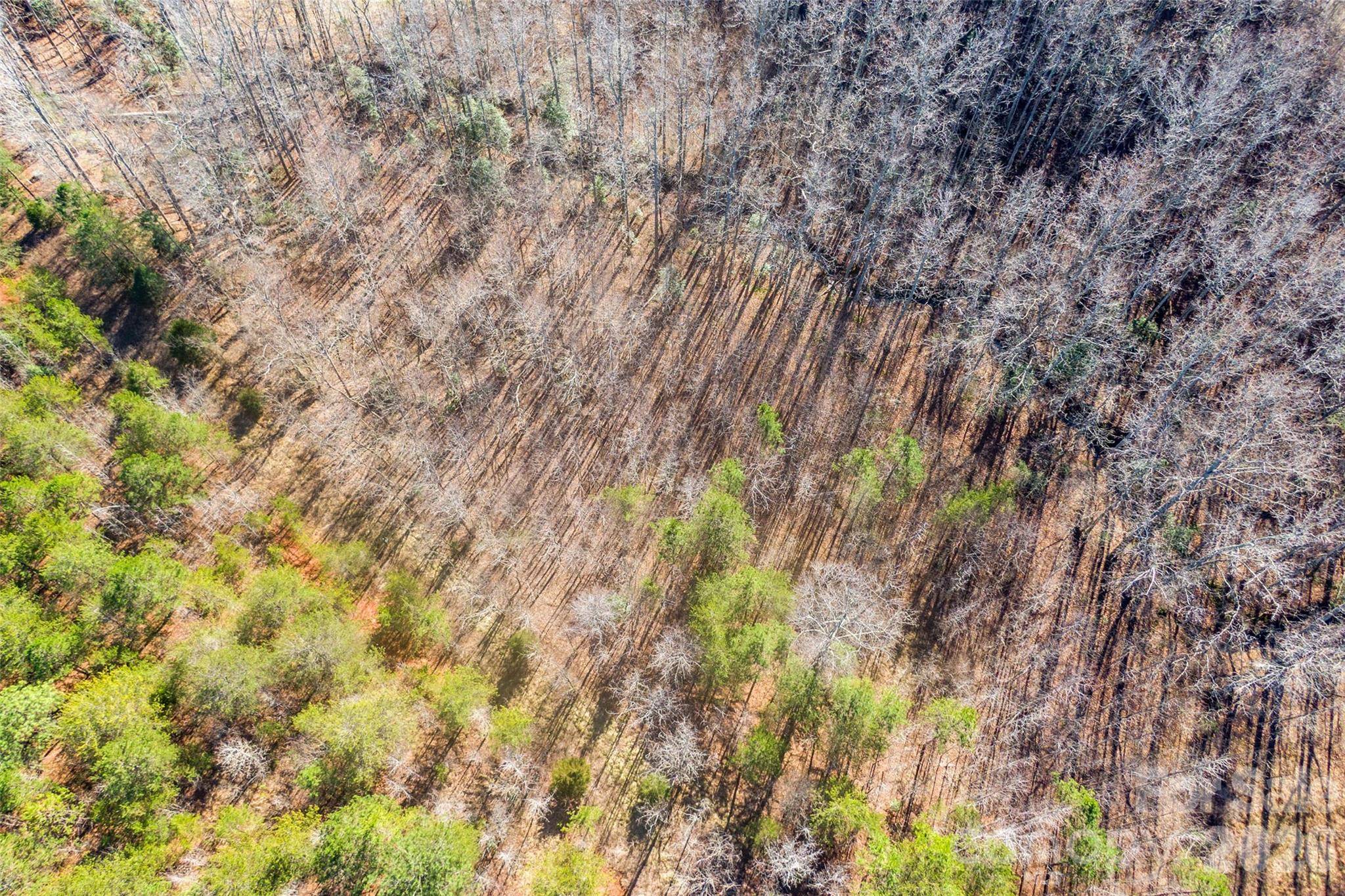 0 Riding Ring DR #12, Ellenboro, NC 28040