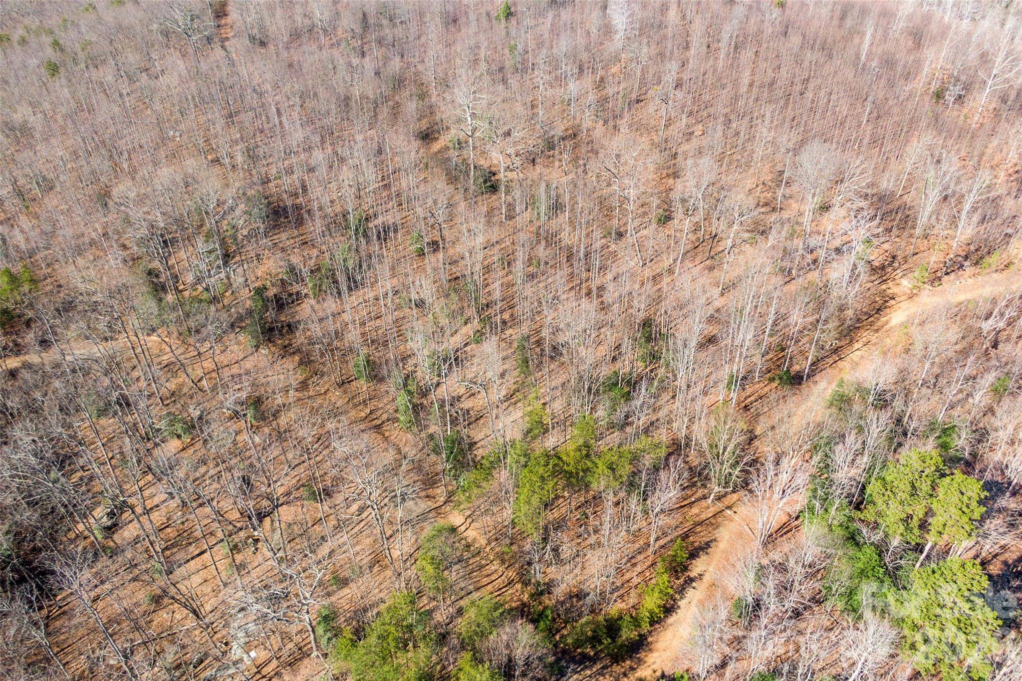 0 Ashe DR #28A, Ellenboro, NC 28040