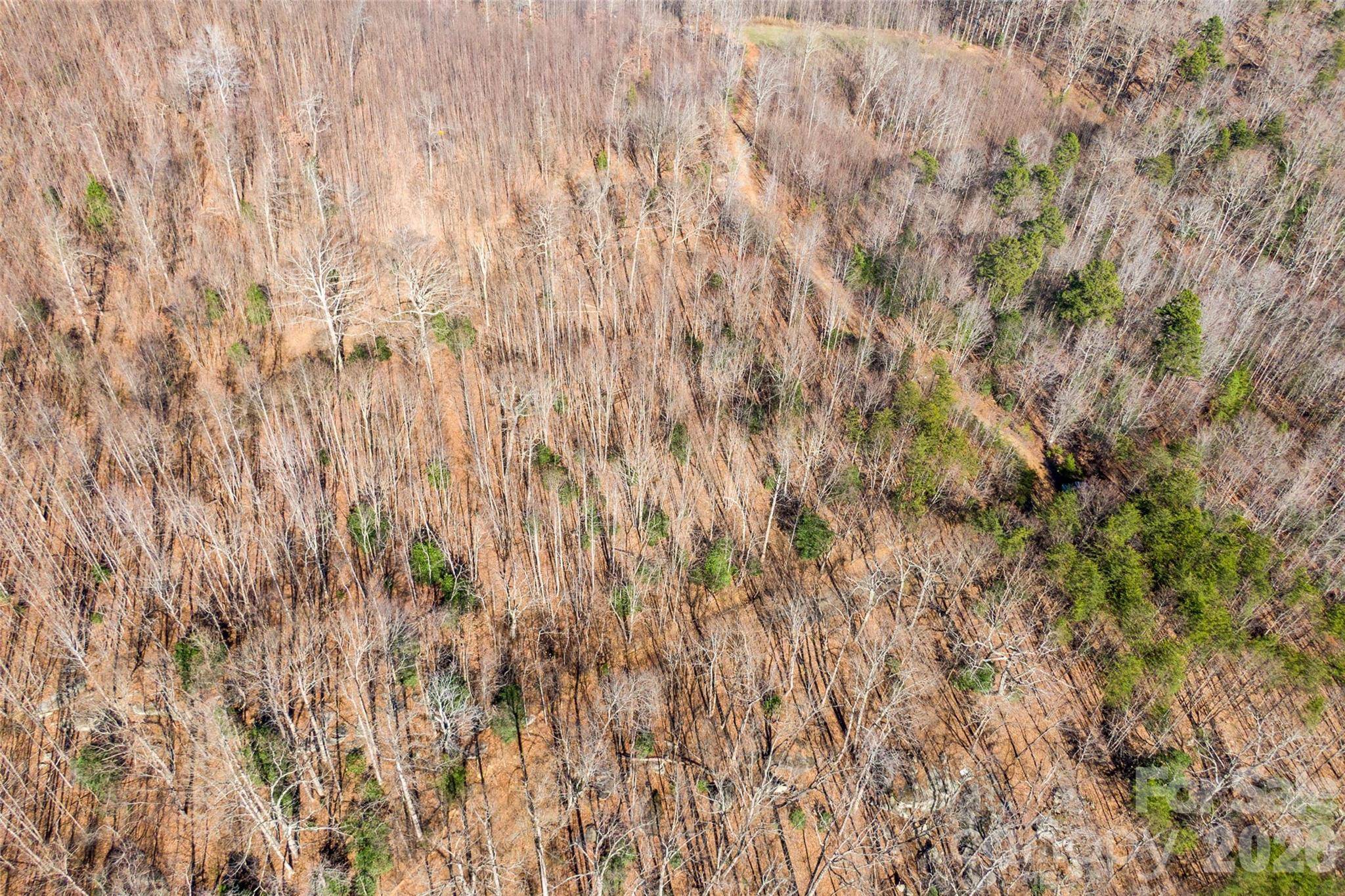 0 Ashe DR #28A, Ellenboro, NC 28040